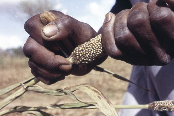 Seed Preservation Manual