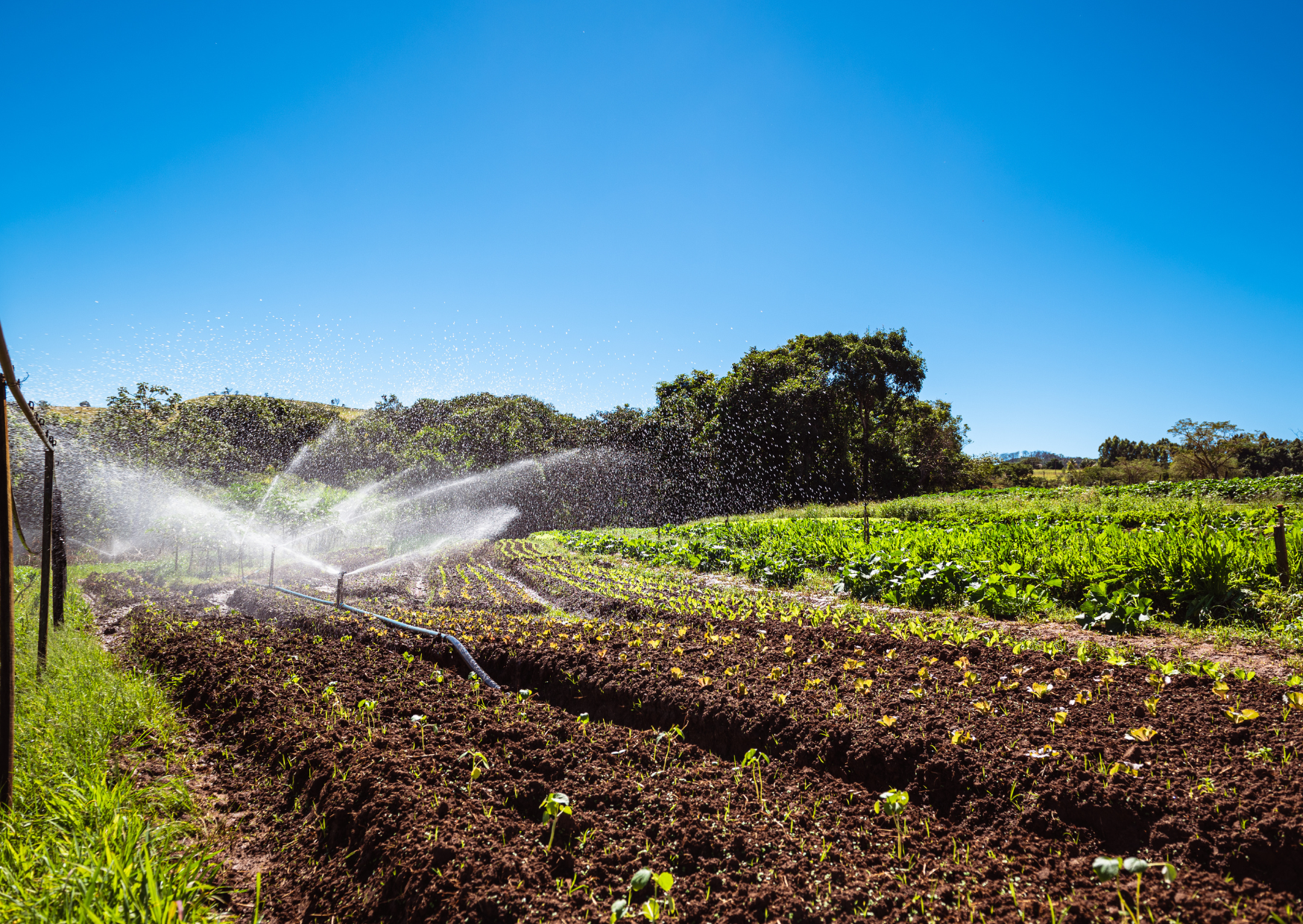 Organic Farming for Beginners