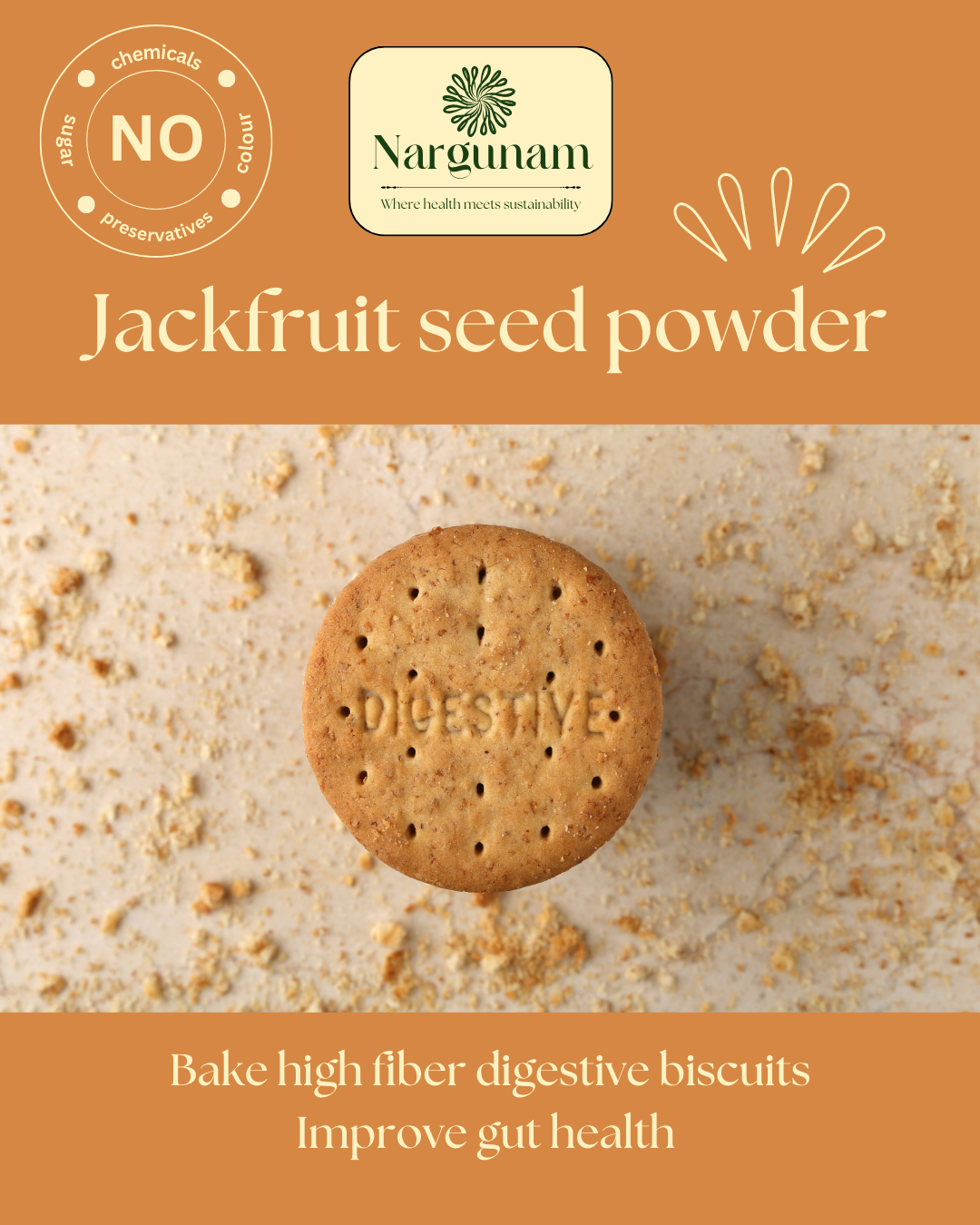 Jackfruit seed powder 