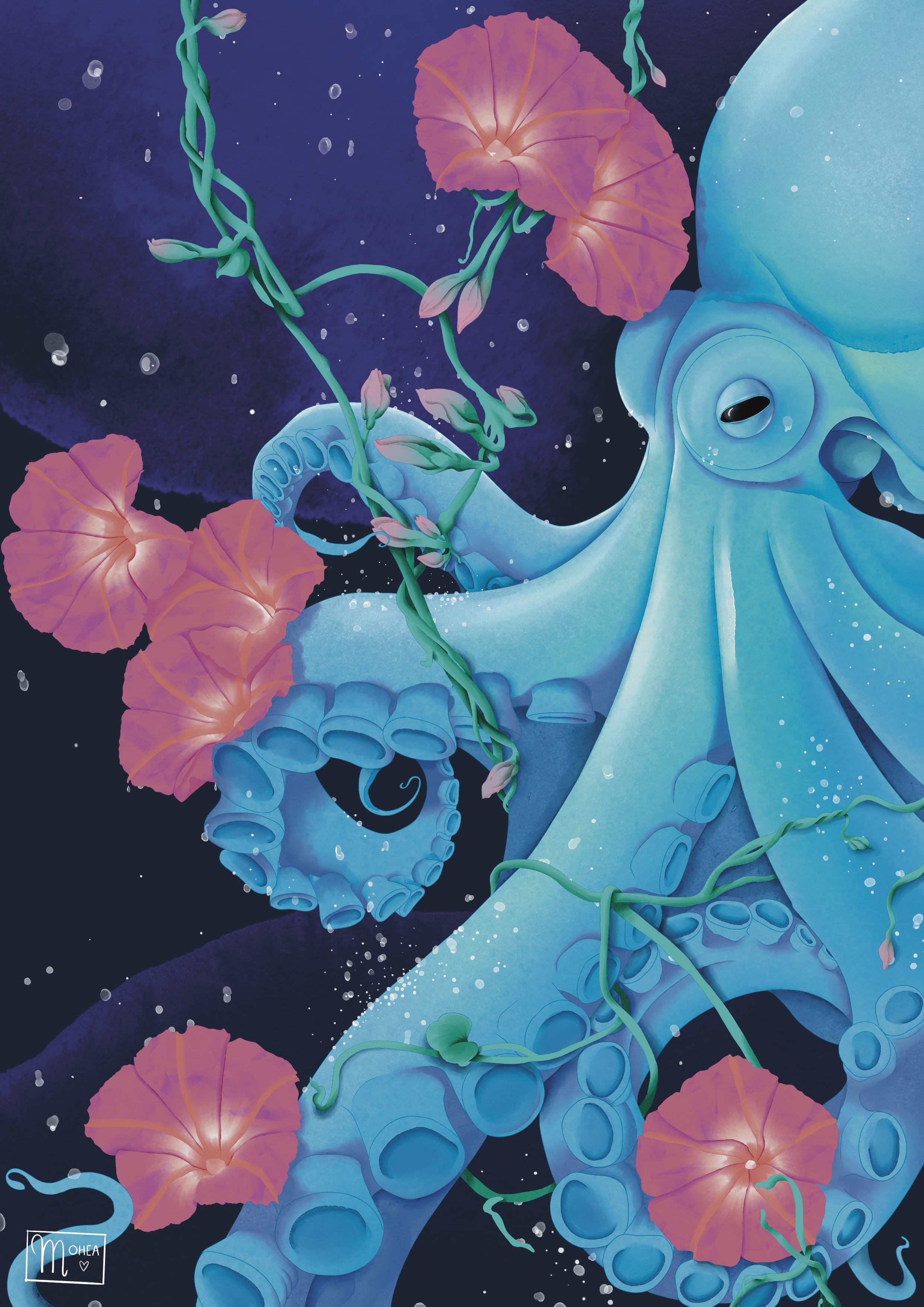 Le poulpe et les ipomées