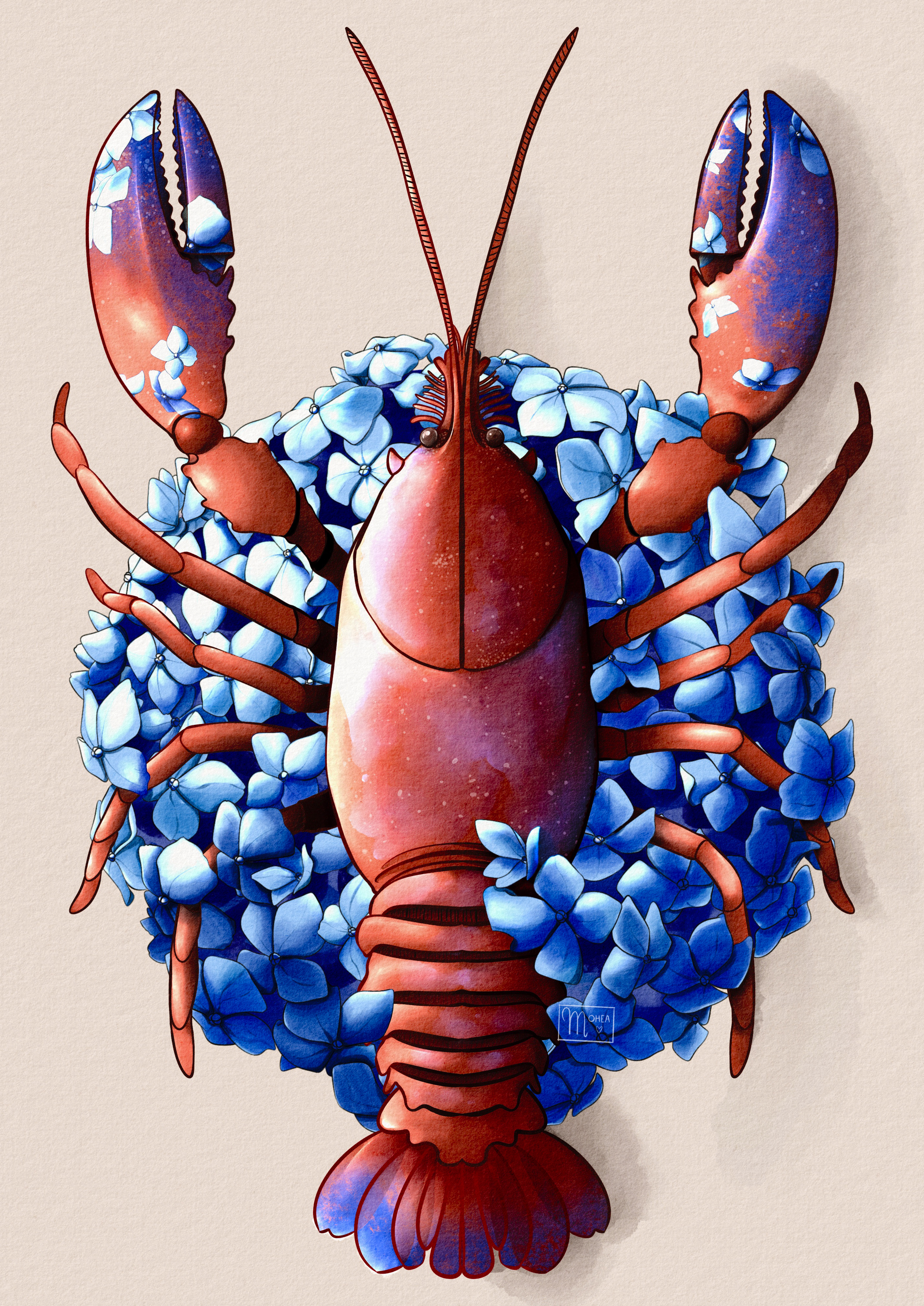 Homard et hortensias