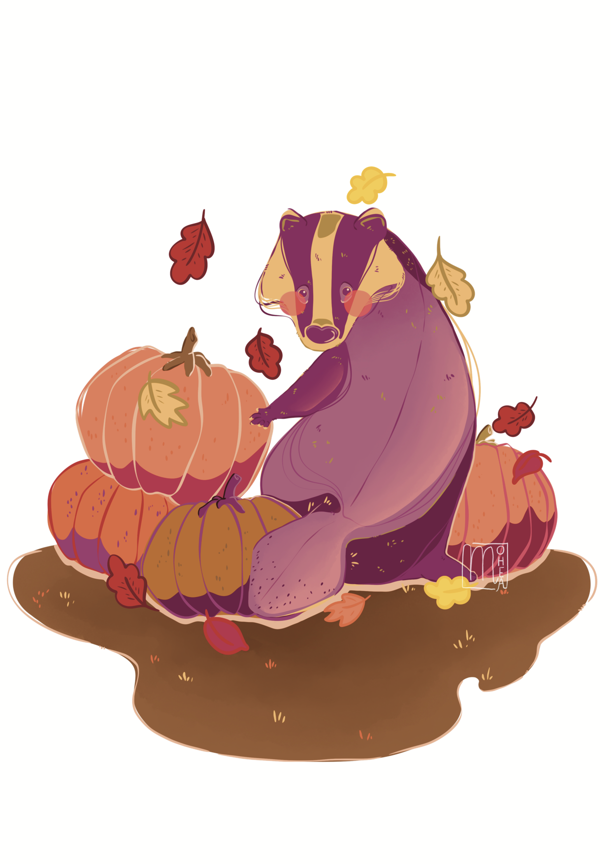 Blaireau Citrouilles