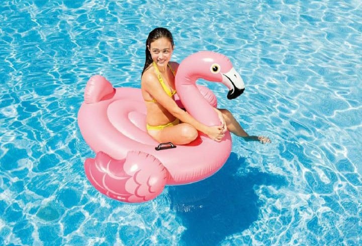 Pool Toys (Flamingo)