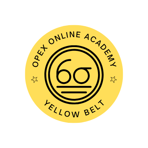 Lean 6 Sigma Yellow Belt (ESP)