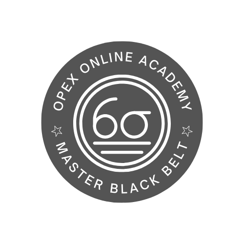 Lean 6 Sigma Master Black Belt