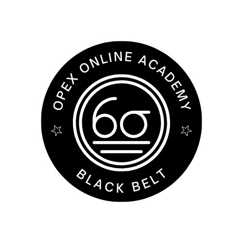 Lean 6 Sigma Black Belt