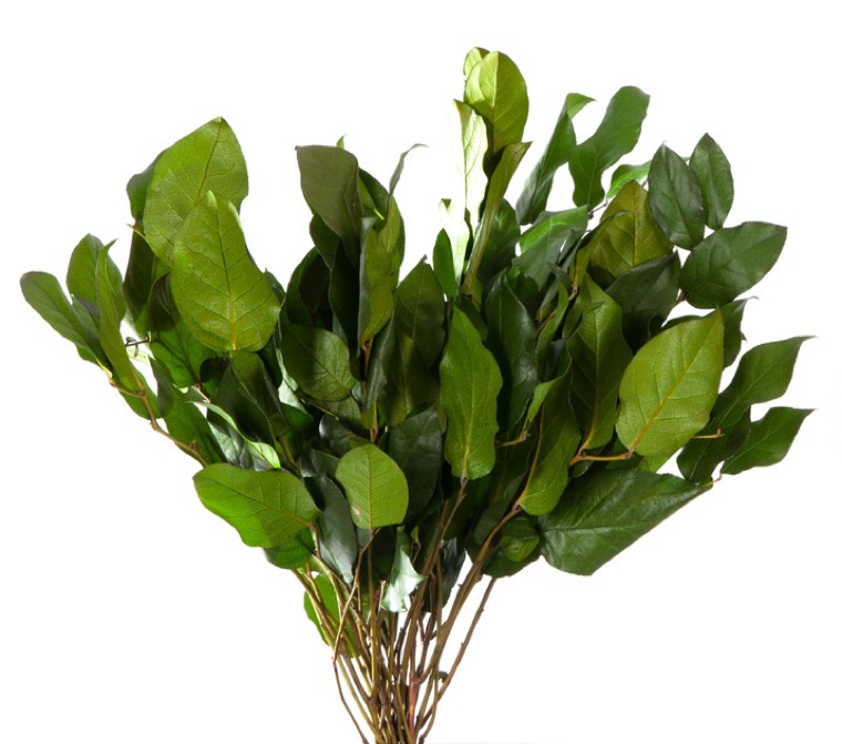 Salalas