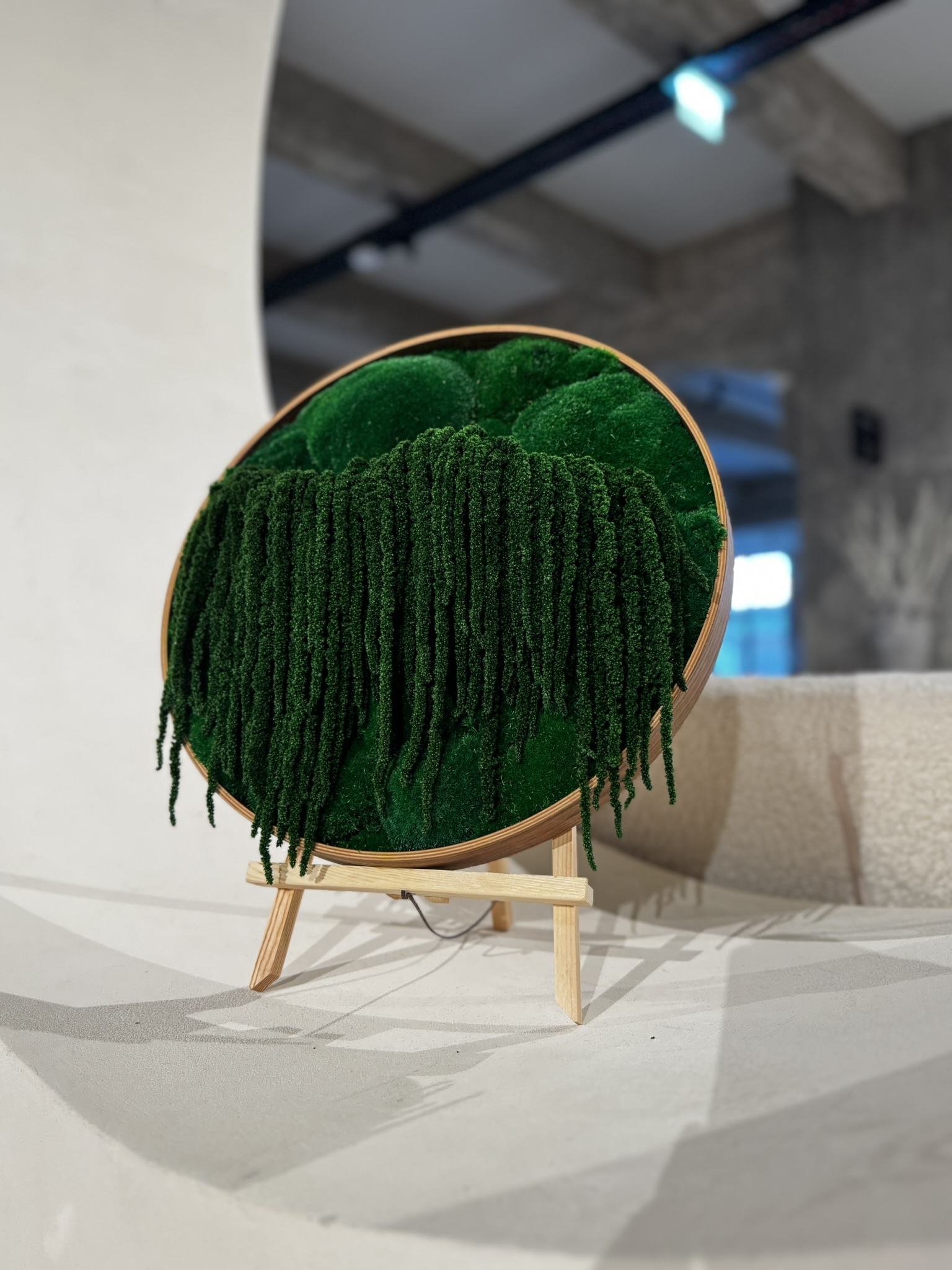 FLOW – stabilizuotų samanų paveikslas