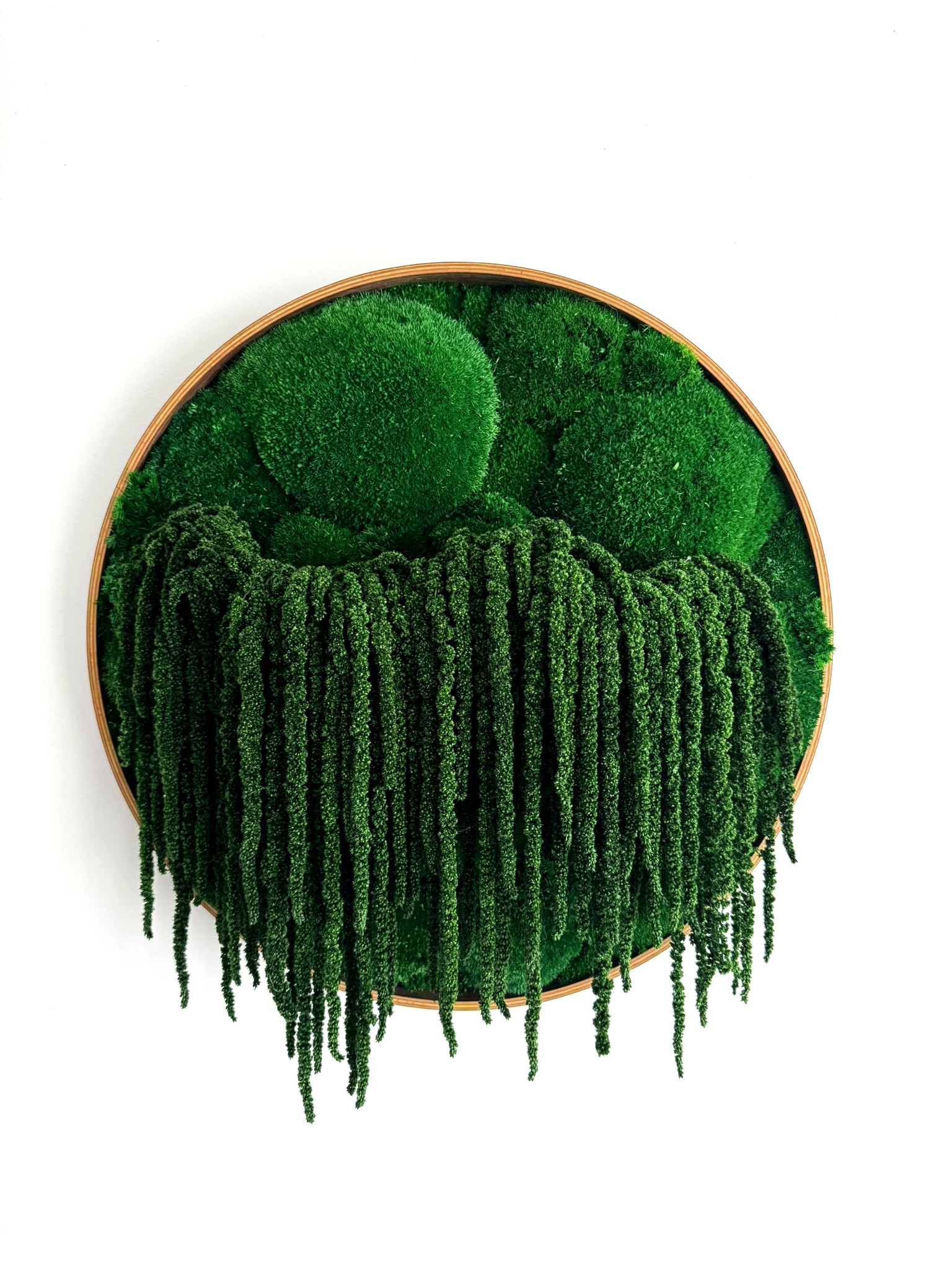 FLOW – stabilizuotų samanų paveikslas