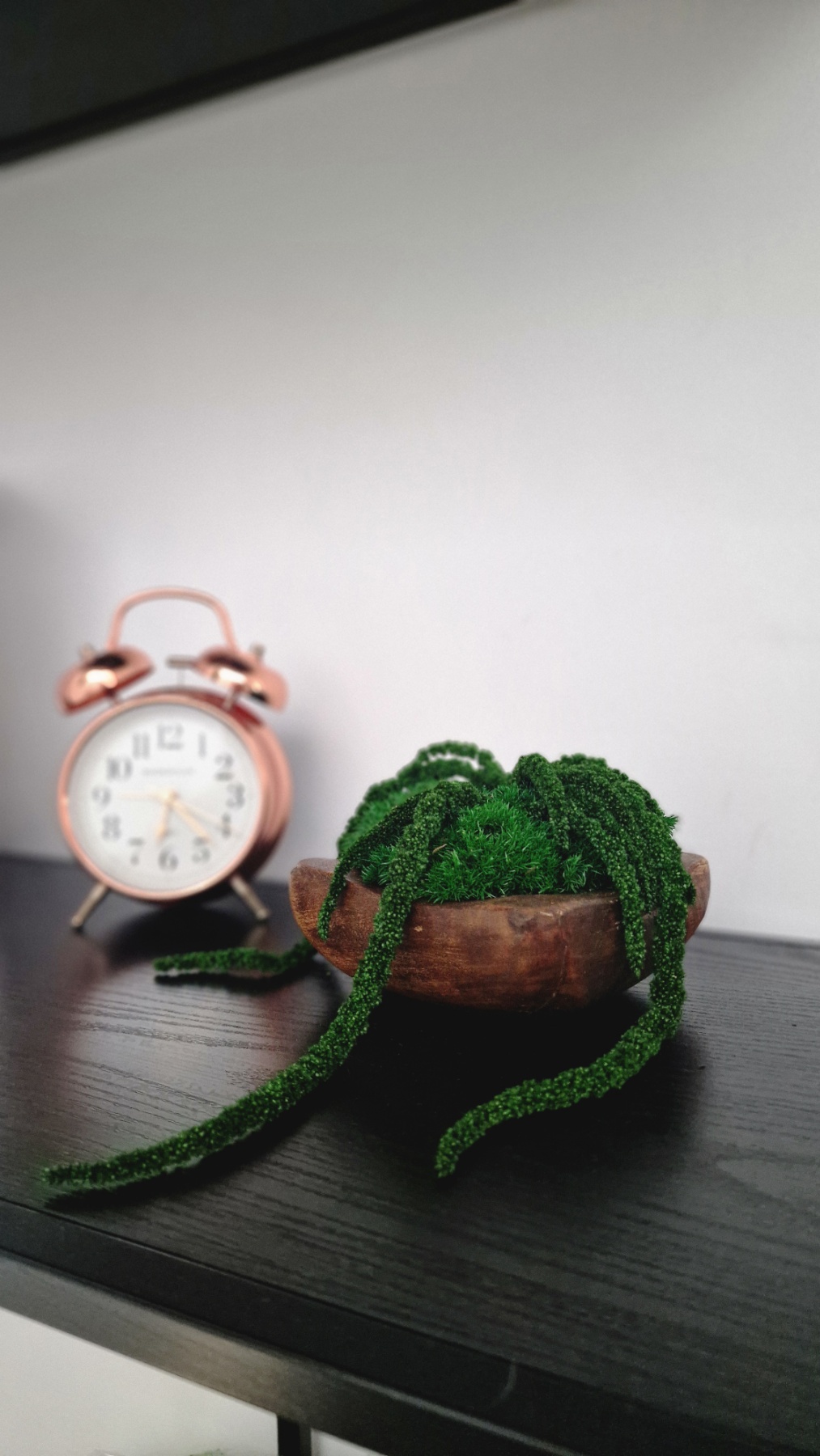 Mango medienos indelis su stabilizuotomis samanomis