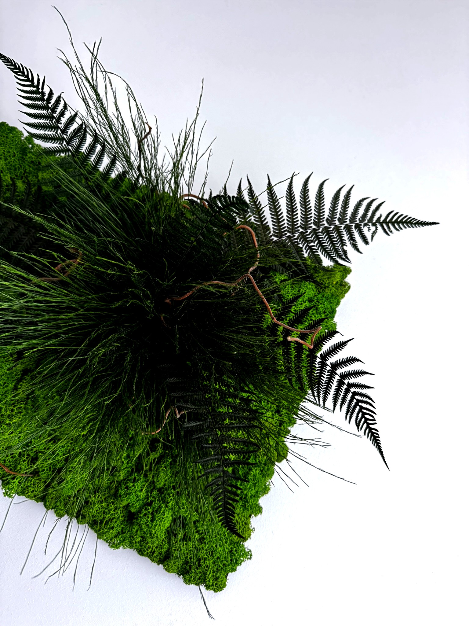 PULSE – stabilizuotų augalų ir samanų paveikslas