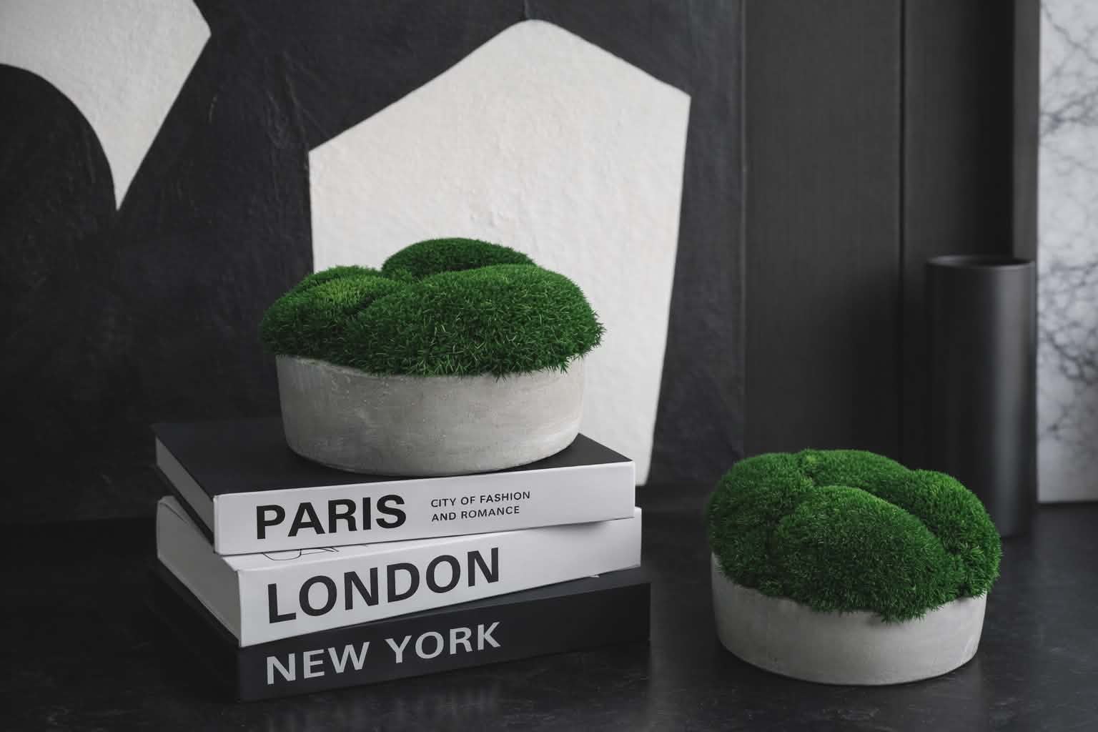 CLOUD – samanų kompozicija betoniniame indelyje