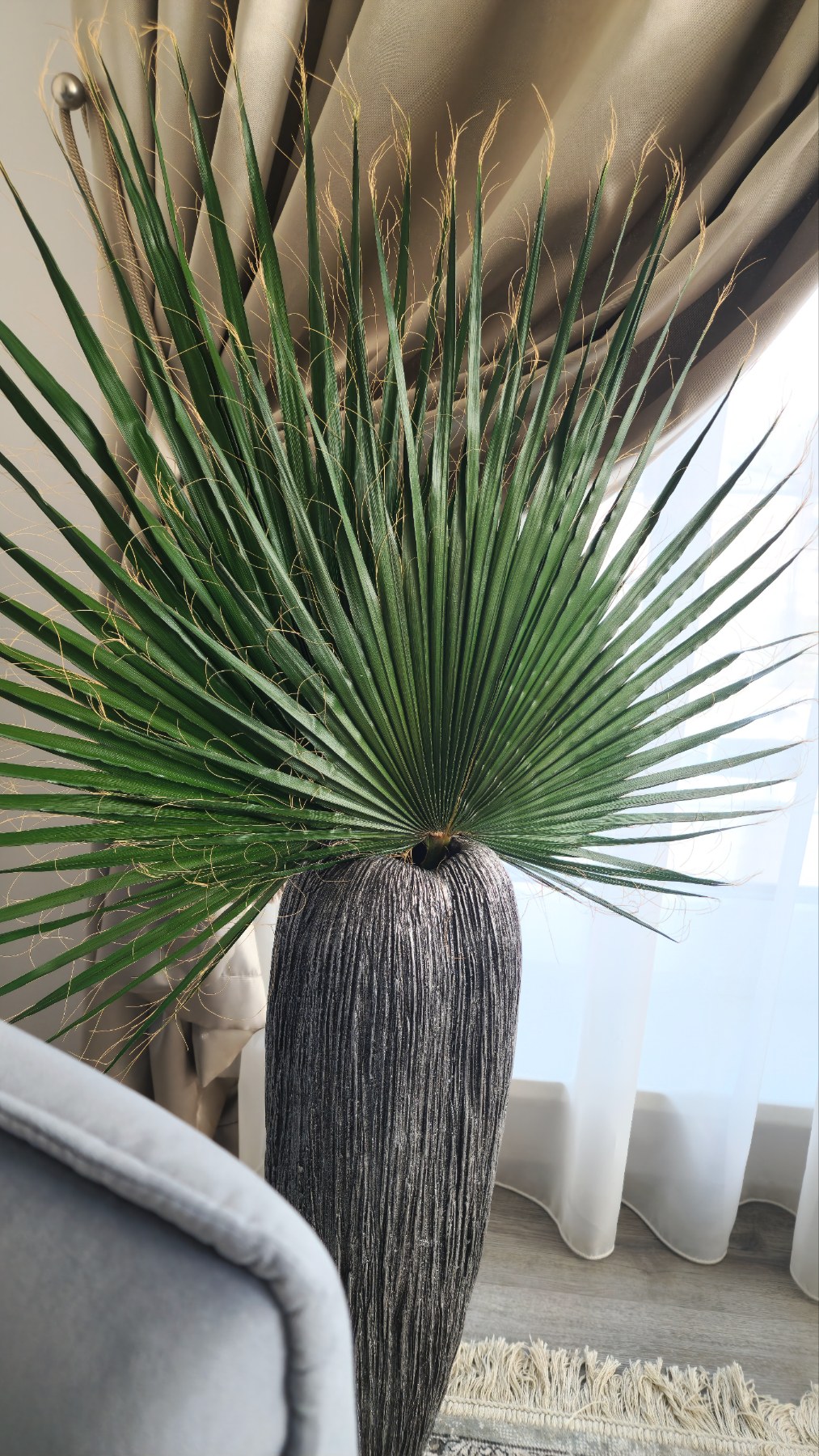 PALM – stabilizuotas vašingtono palmės lapas