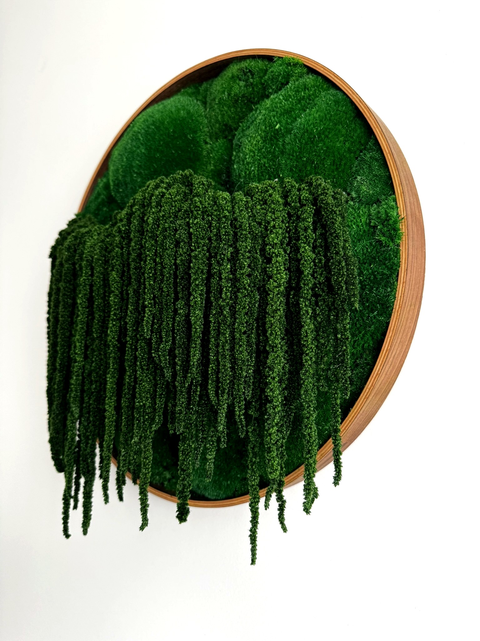 FLOW – stabilizuotų samanų paveikslas