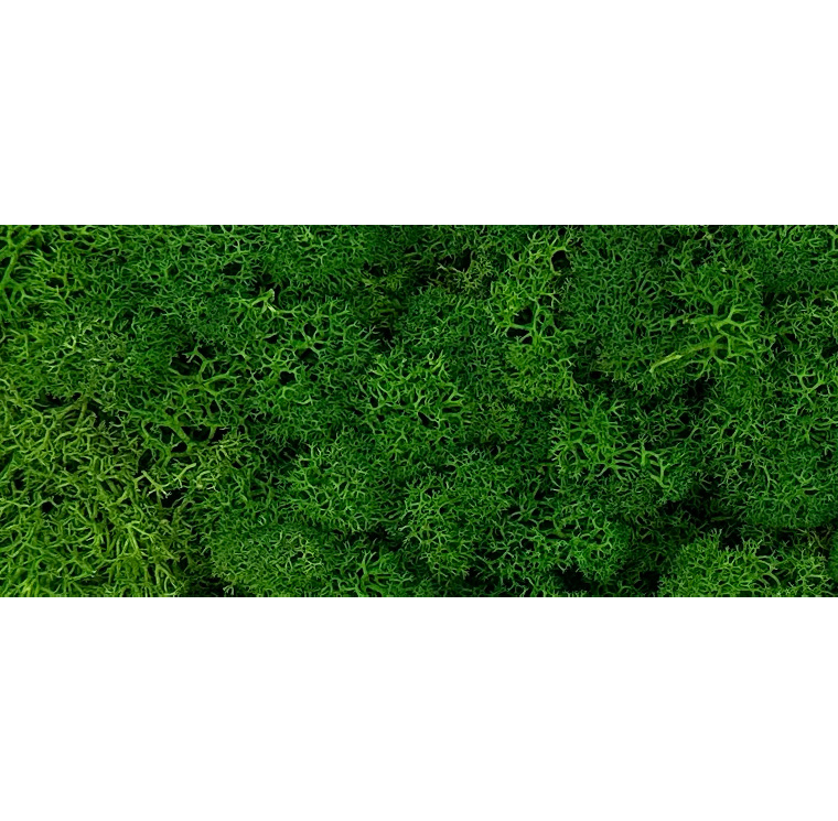 Elninės samanos (green)
