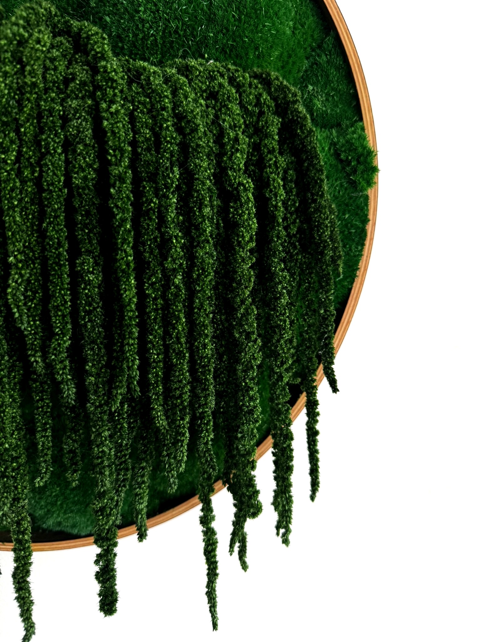 FLOW – stabilizuotų samanų paveikslas