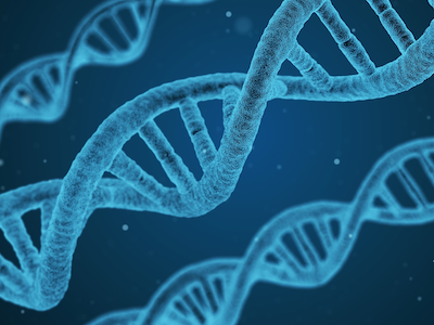 Gene Editing Market Size, Share, Growth, and Forecasts 2025 – 2033