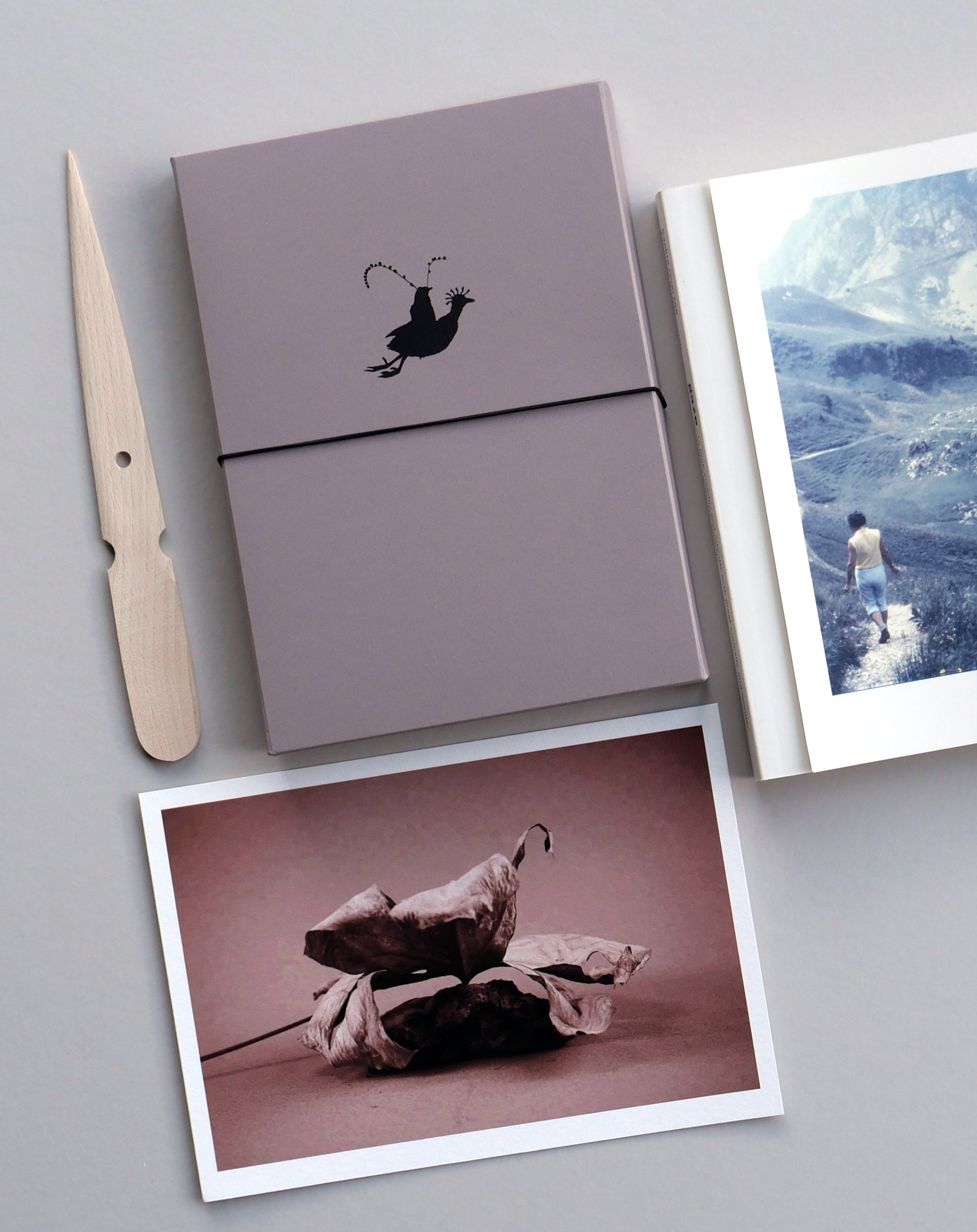 GAZE Special Edition