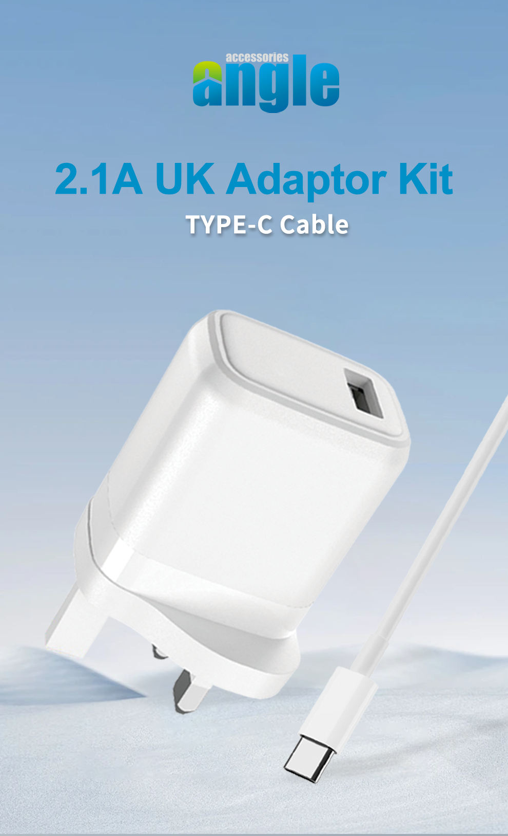 Angle UK 2.1A USB Adaptor with Type C cable