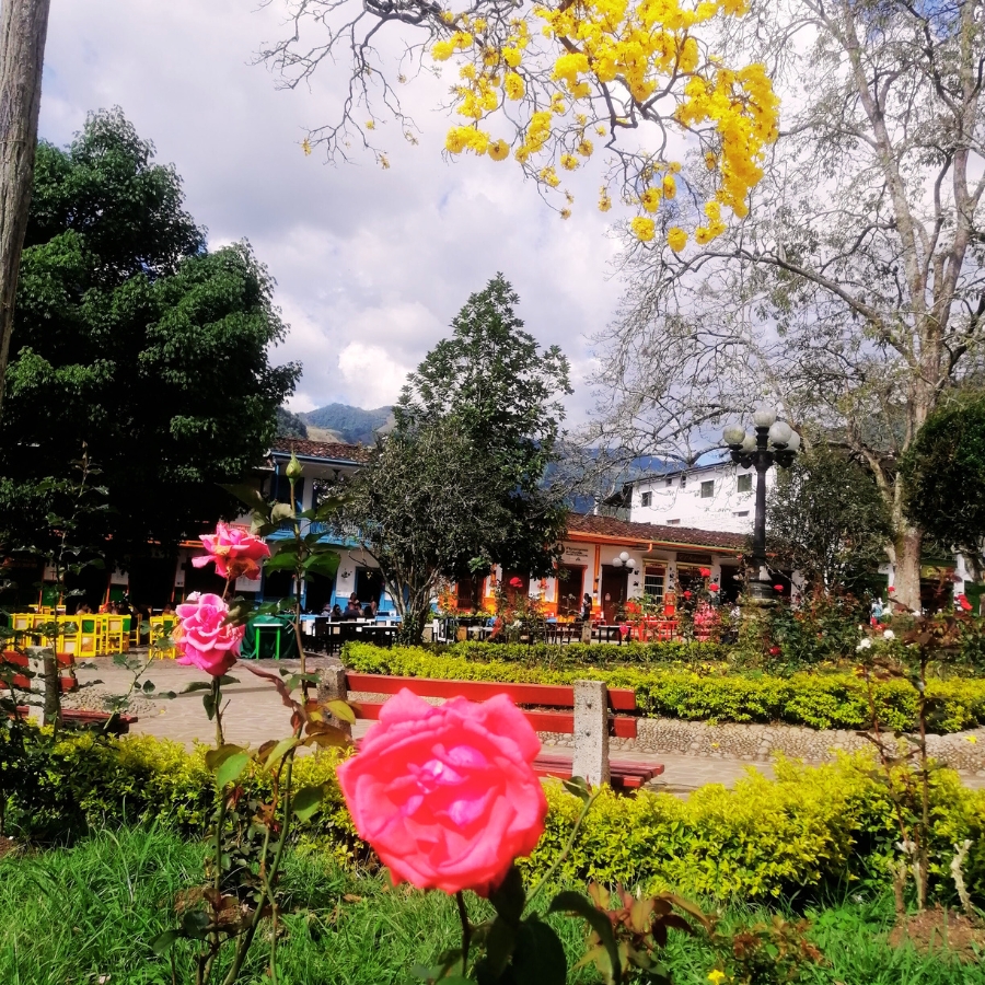 JARDÍN