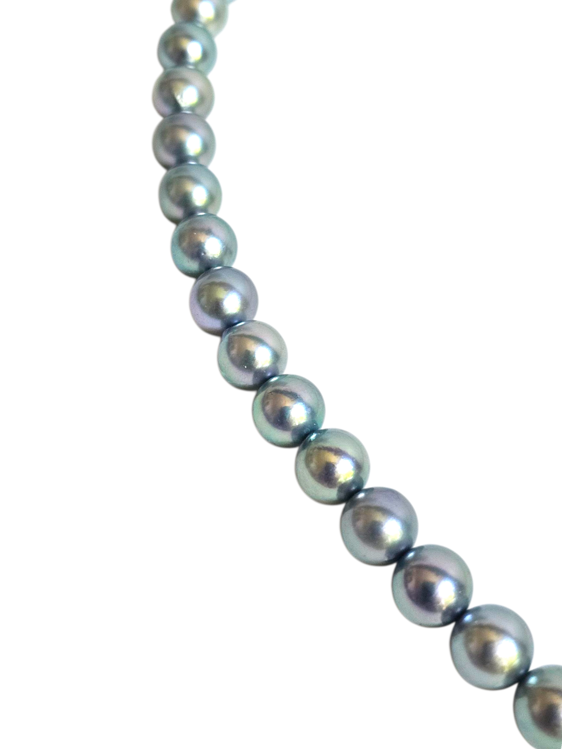 Silver Blue Green Japanese Akoya Pearl Strand