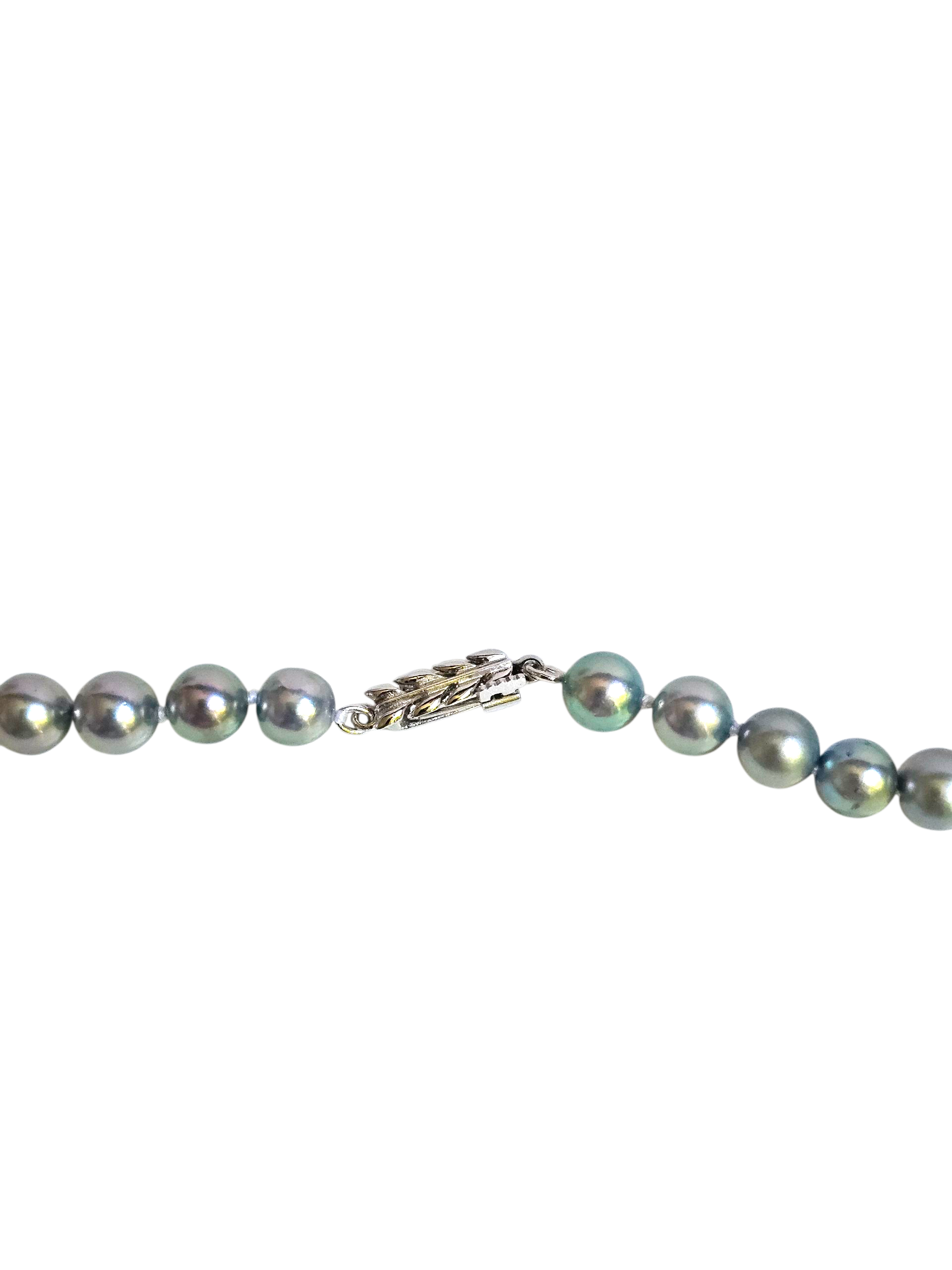 Silver Blue Green Japanese Akoya Pearl Strand