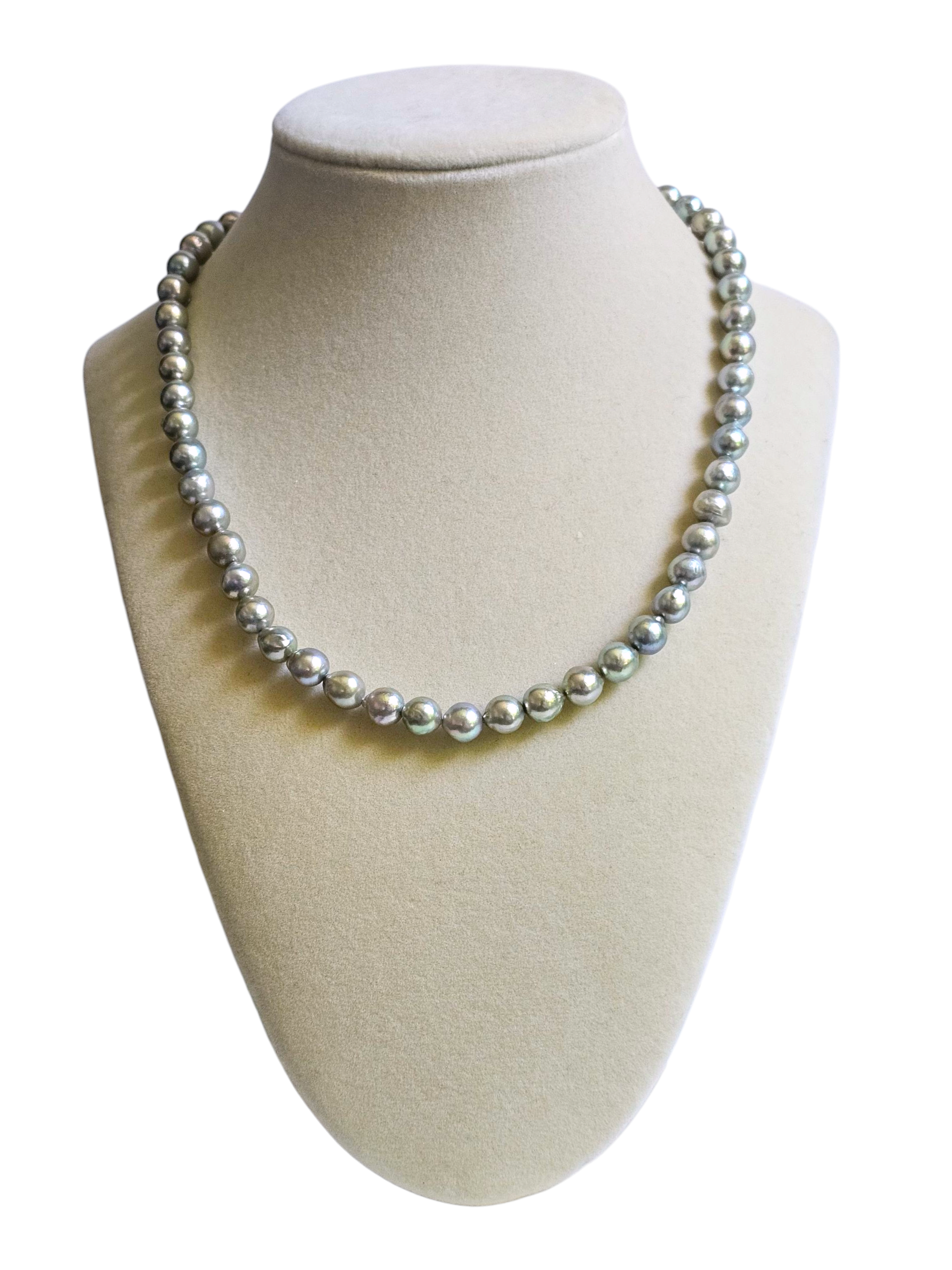 Silver Akoya Pearls with Green Overtone
