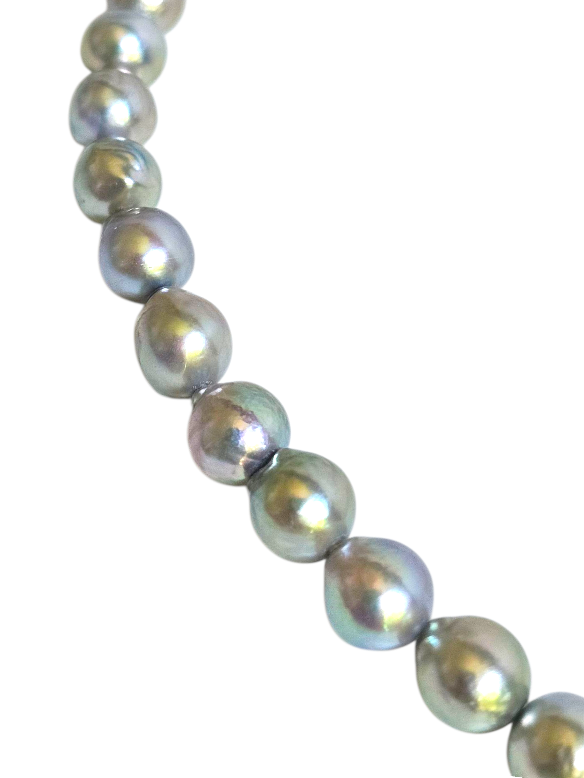 Silver Akoya Pearls with Green Overtone