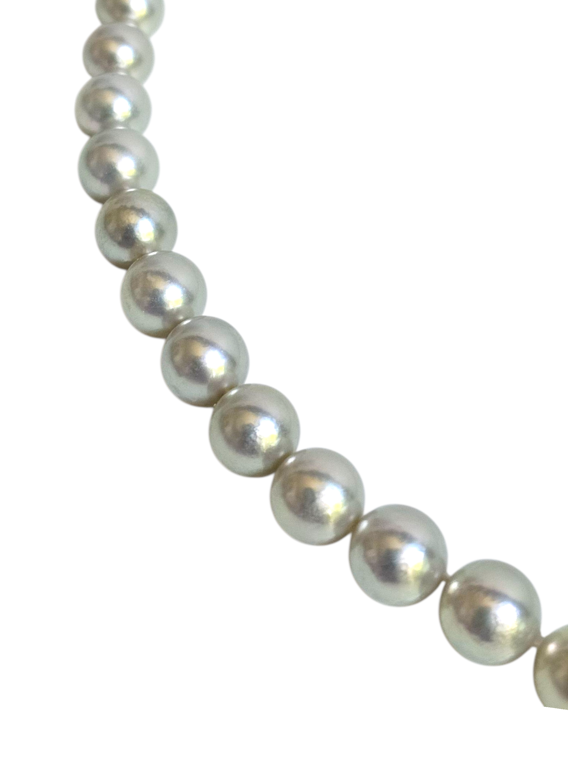 Silver Champagne Japanese Akoya Pearl Necklace