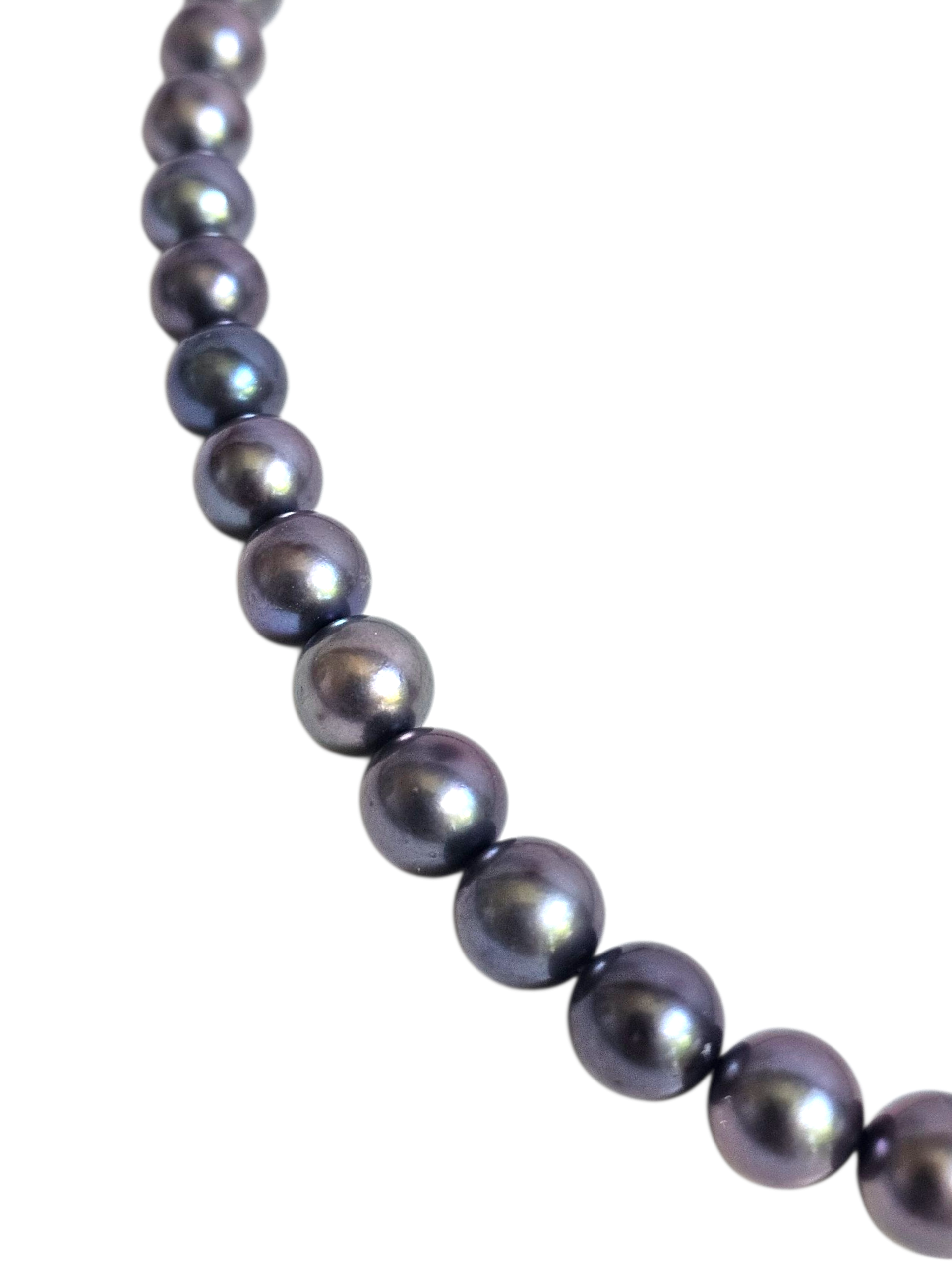 Midnight Black Akoya Pearl Necklace