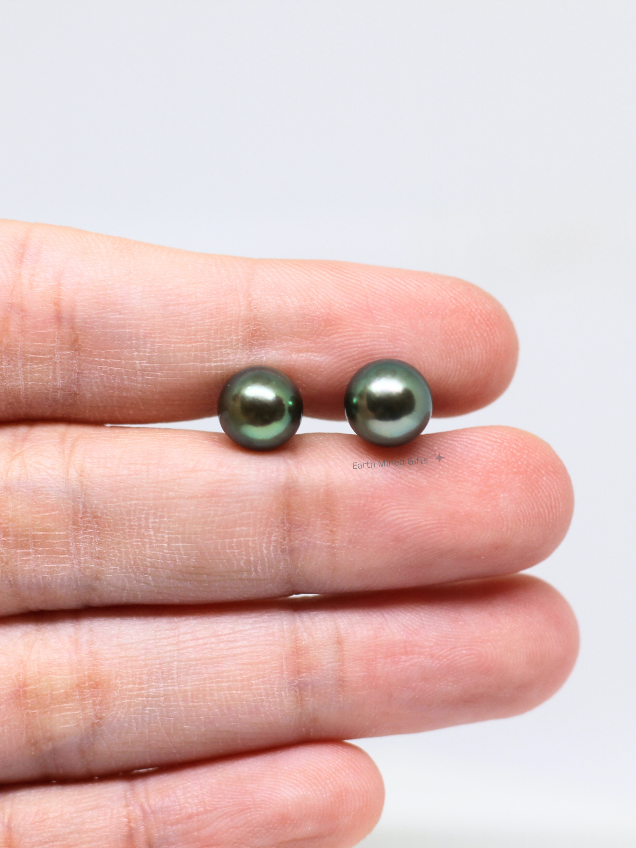 Peacock Akoya Pearl Studs