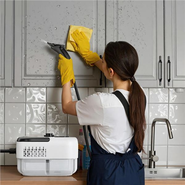 MAQUINA DE LIMPIEZA AL VAPOR CON ACCESORIOS CF47 XO