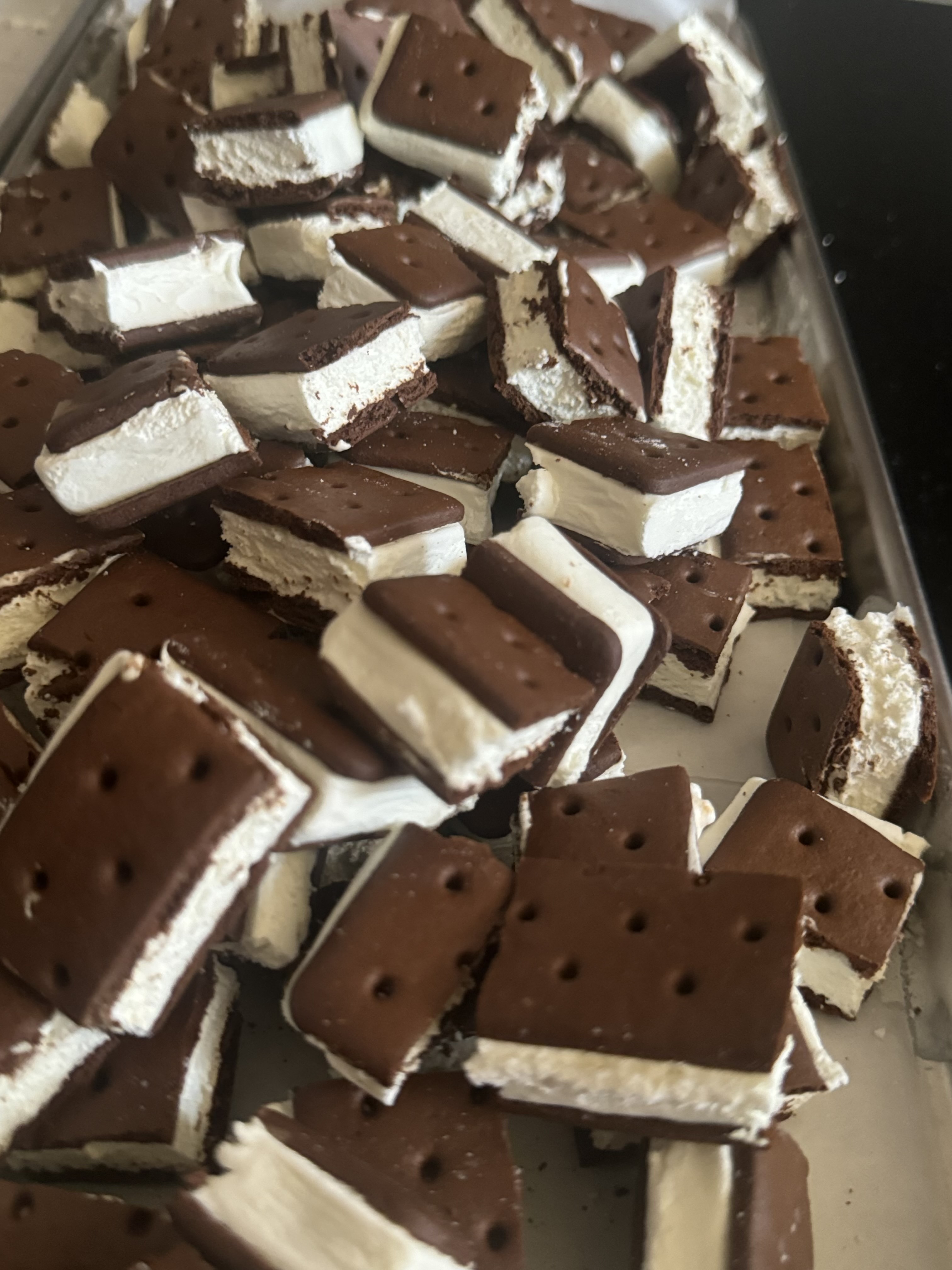 Dried Ice Cream Sandwiches