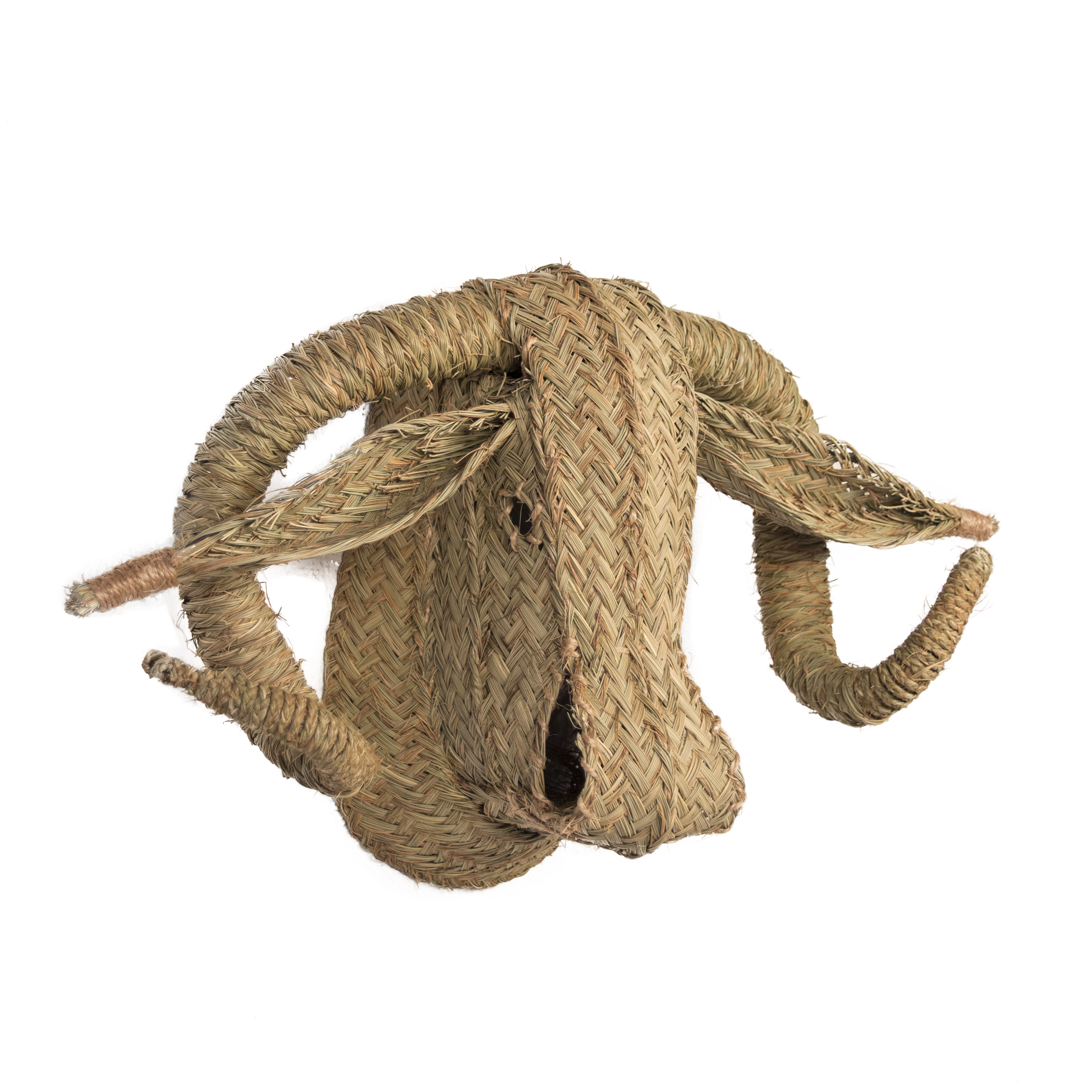 Cabeza de Búfalo de Esparto