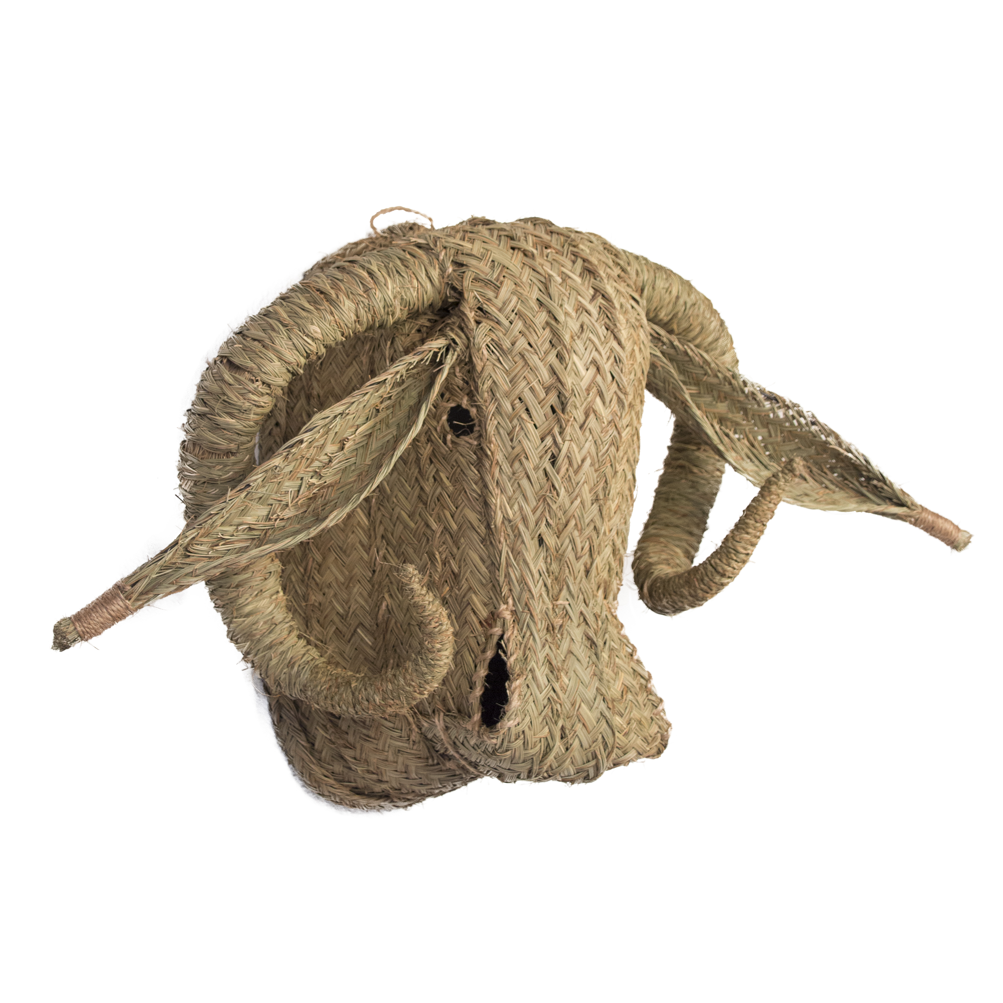 Cabeza de Búfalo de Esparto