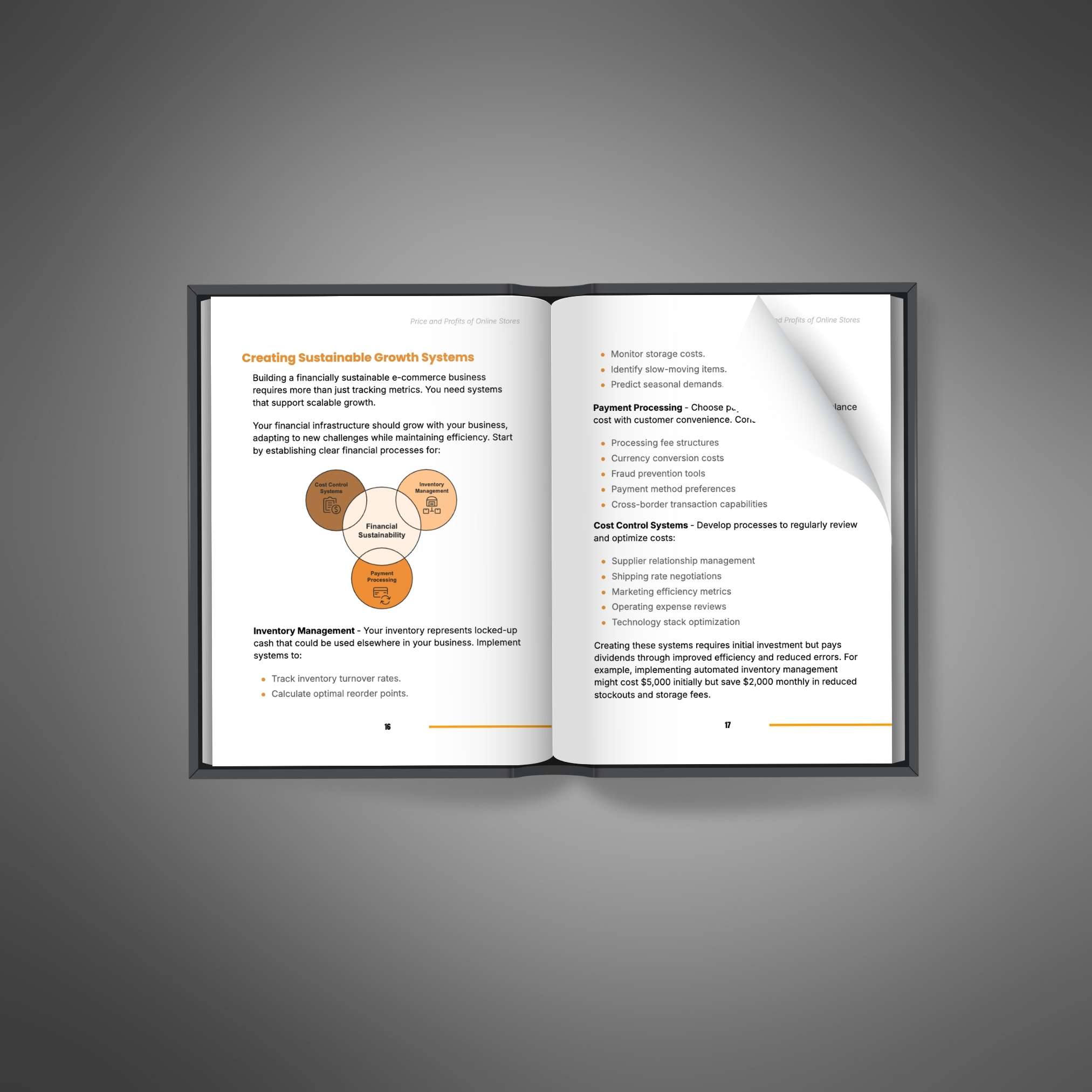Price and Profits of Online Stores eBook