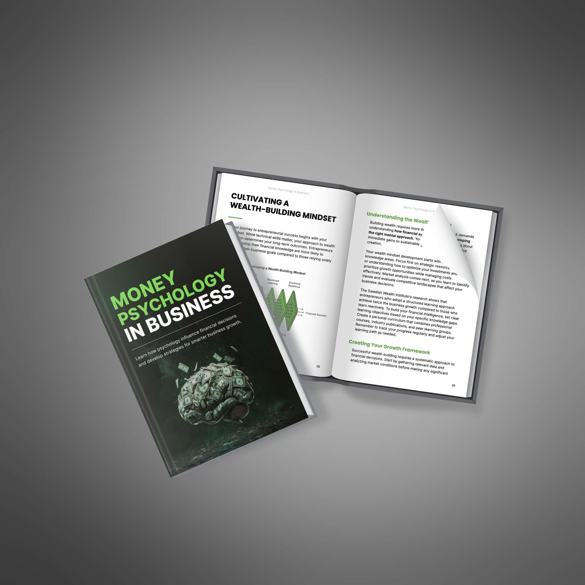 Money Psychology in Business eBook