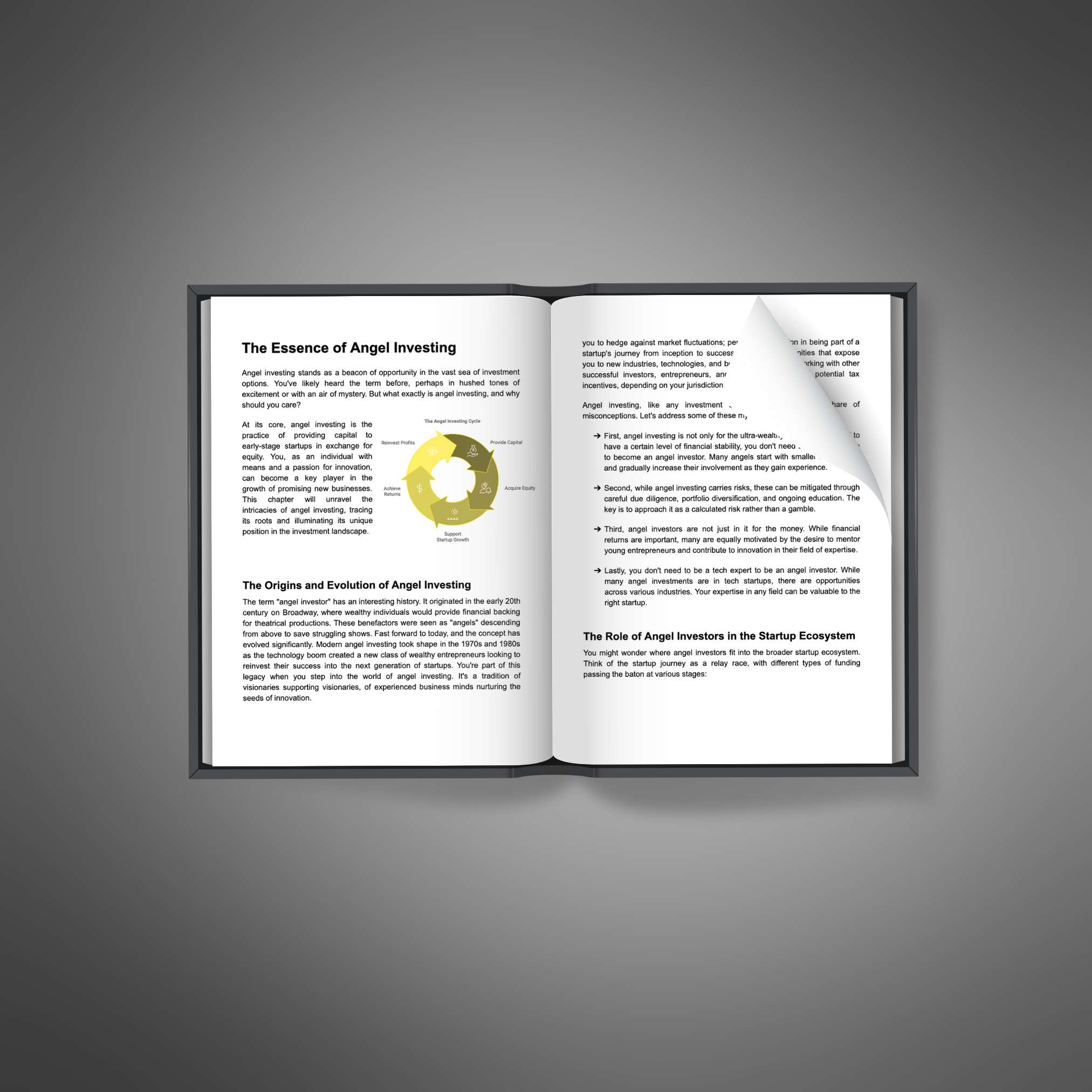 Angel Investing eBook