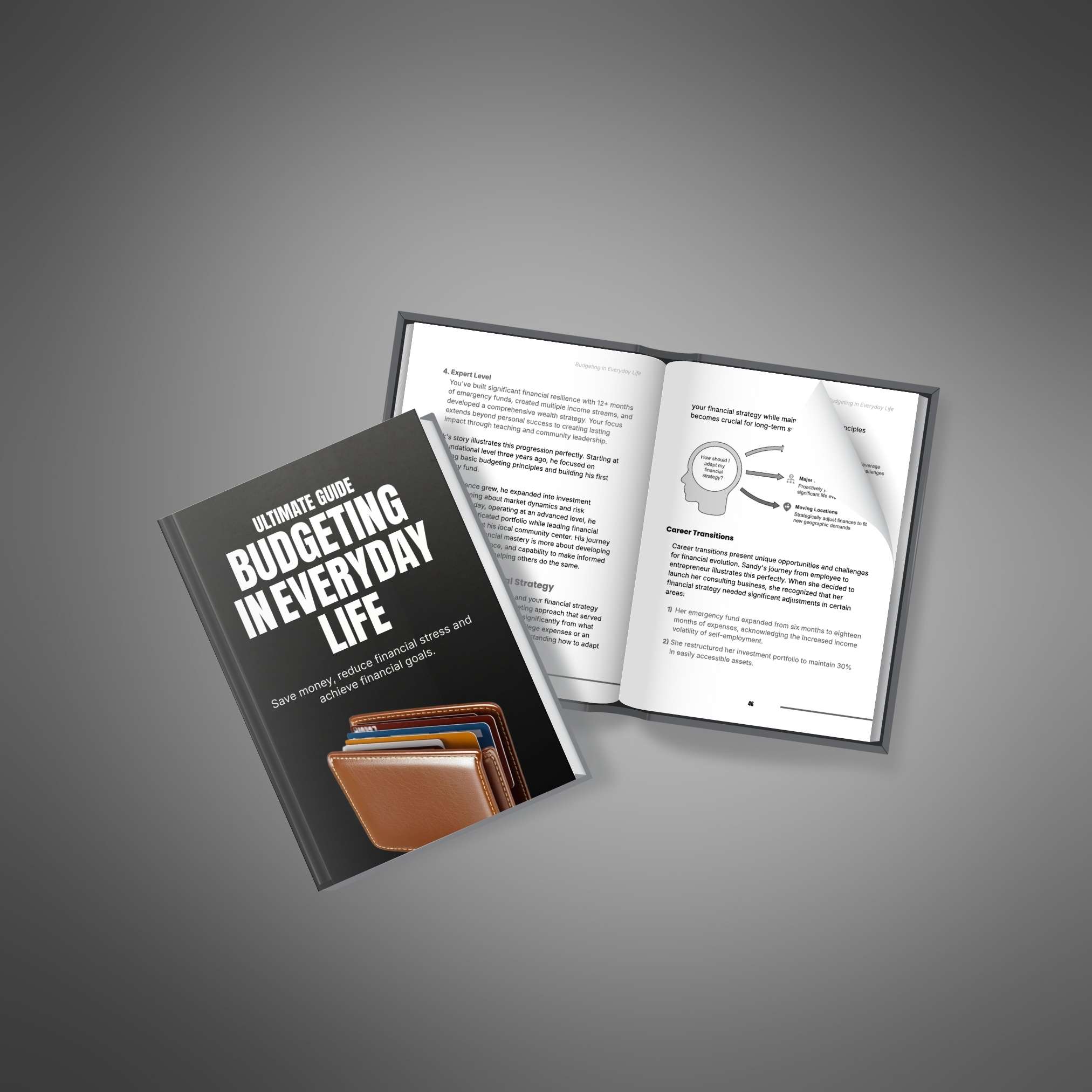 Ultimate Guide: Budgeting in Everyday Life eBook