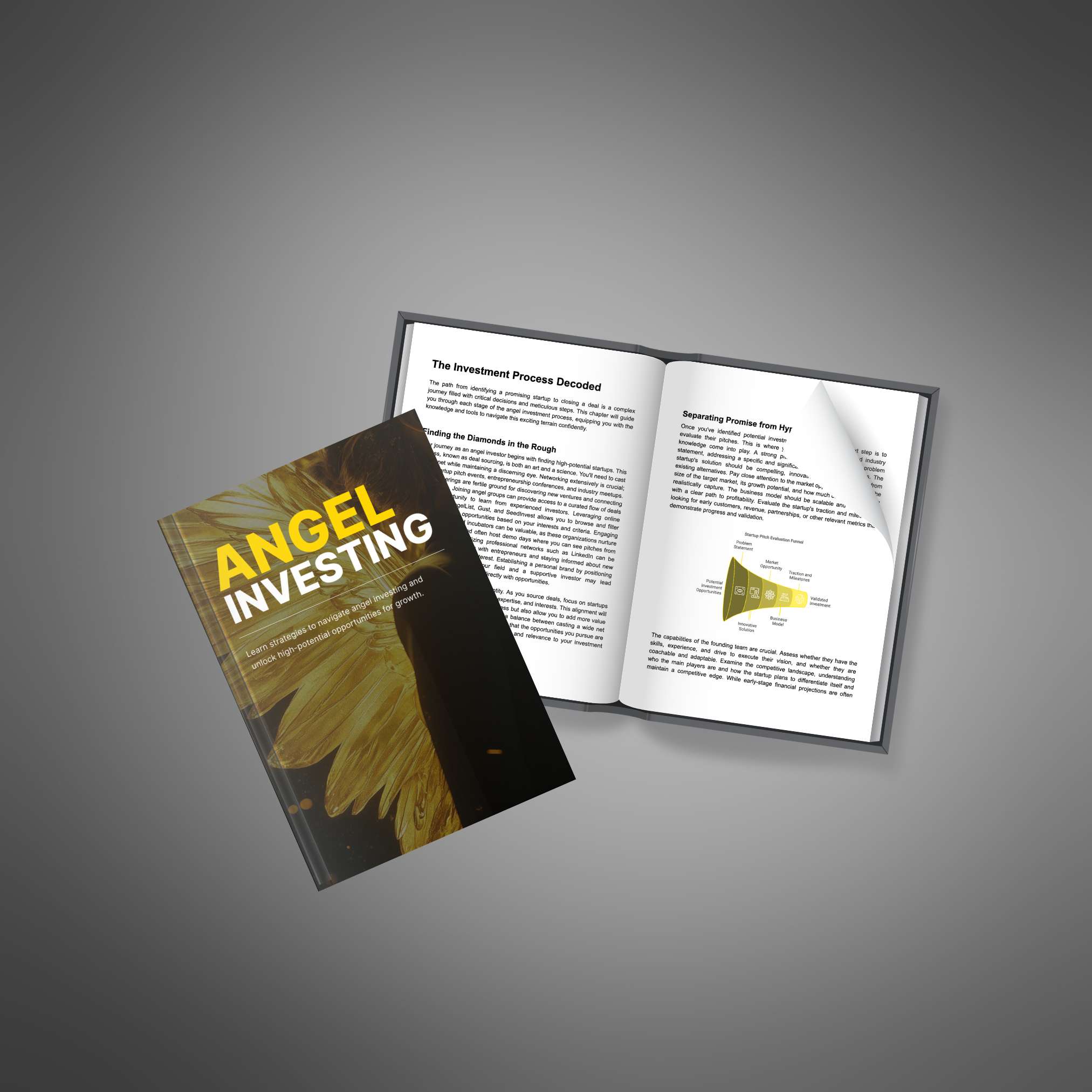 Angel Investing eBook