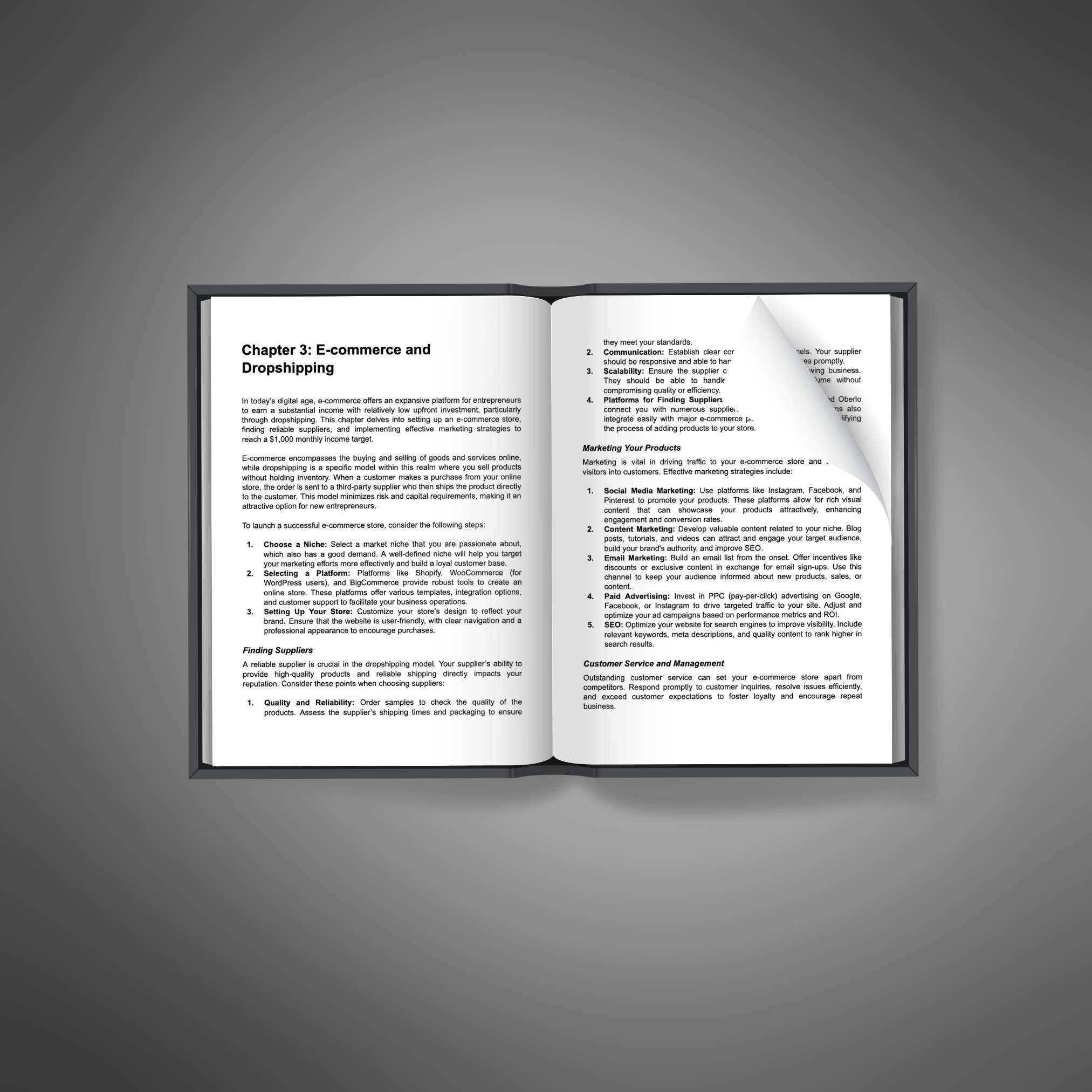 Extra Income Strategies eBook and Checklist