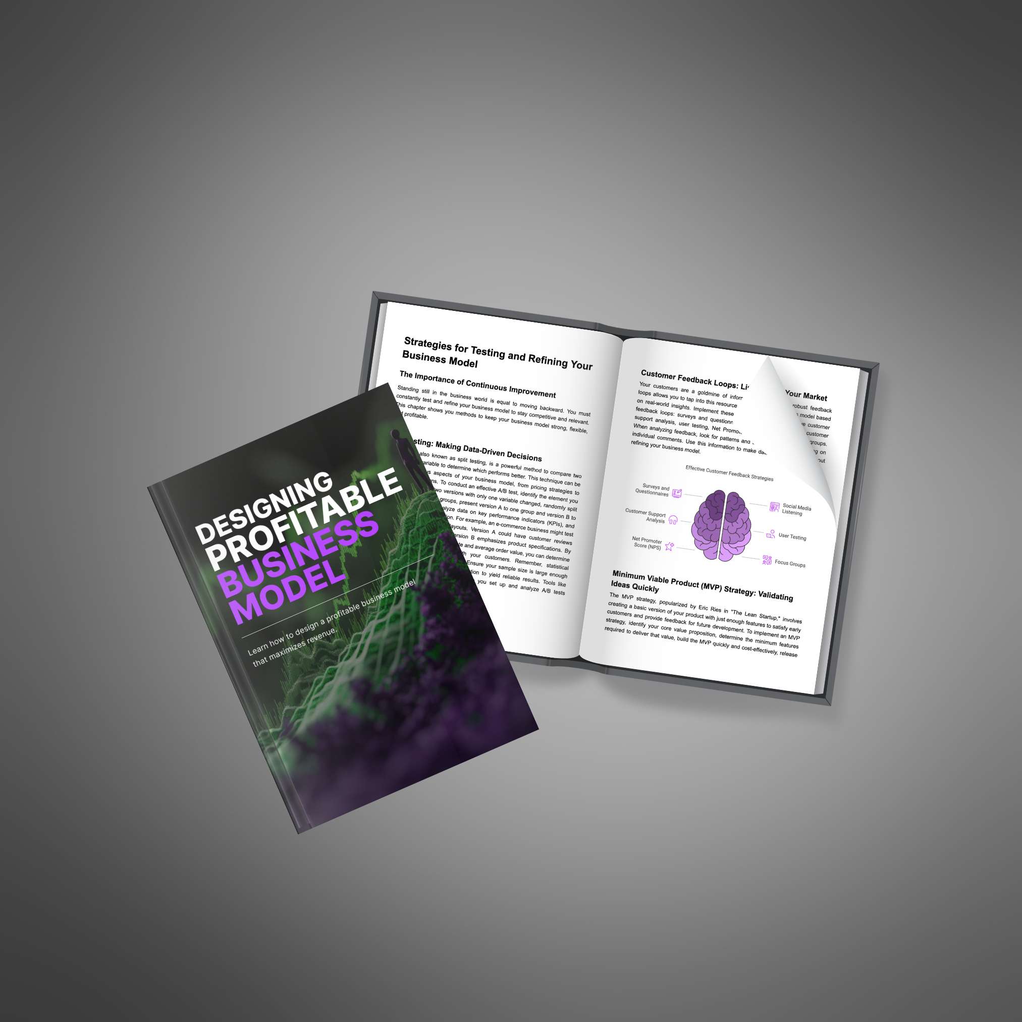 Designing a Profitable Business Model eBook