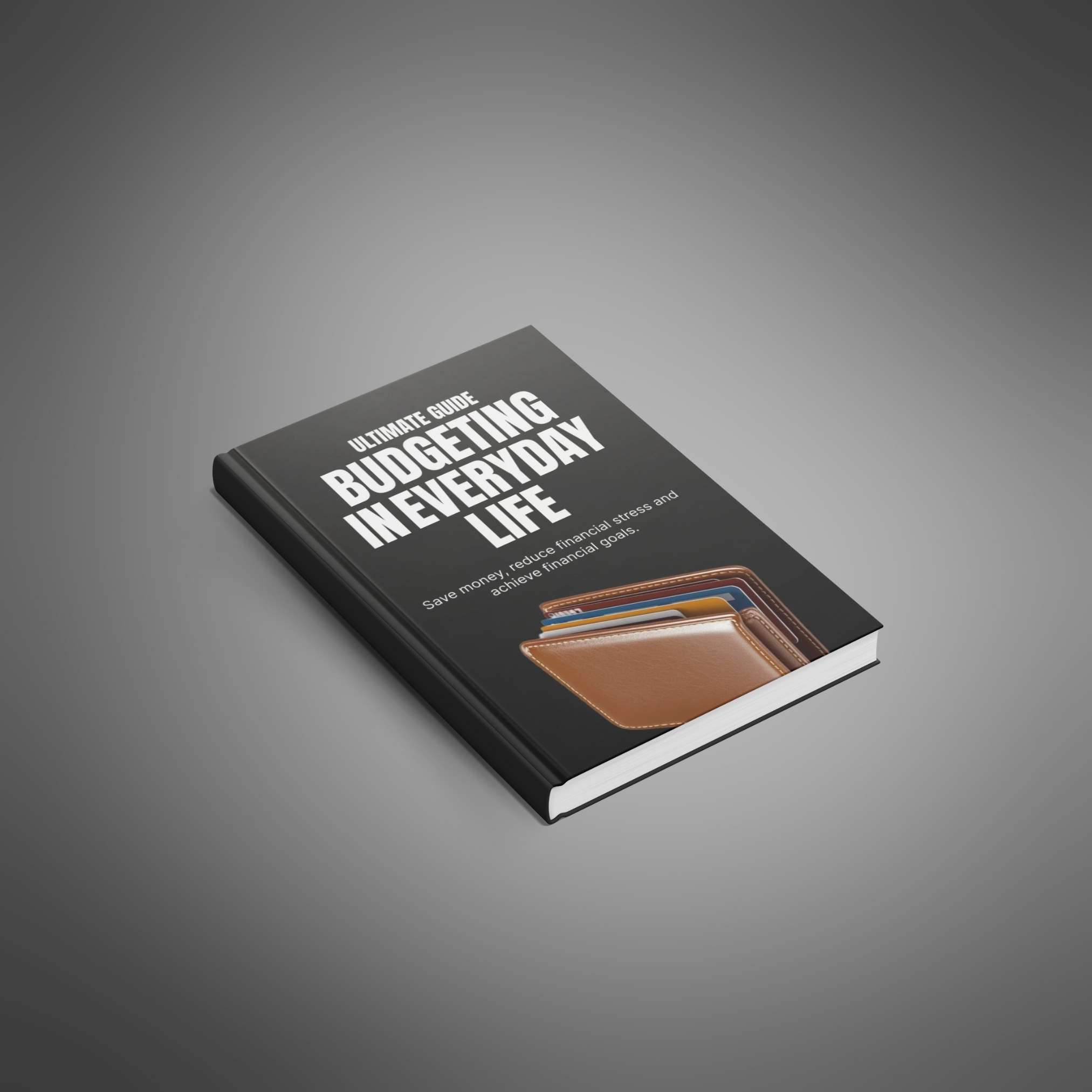 Ultimate Guide: Budgeting in Everyday Life eBook