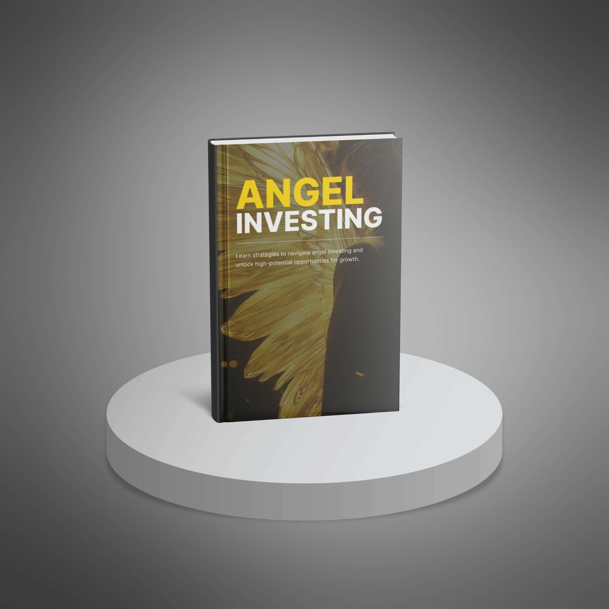 Angel Investing eBook