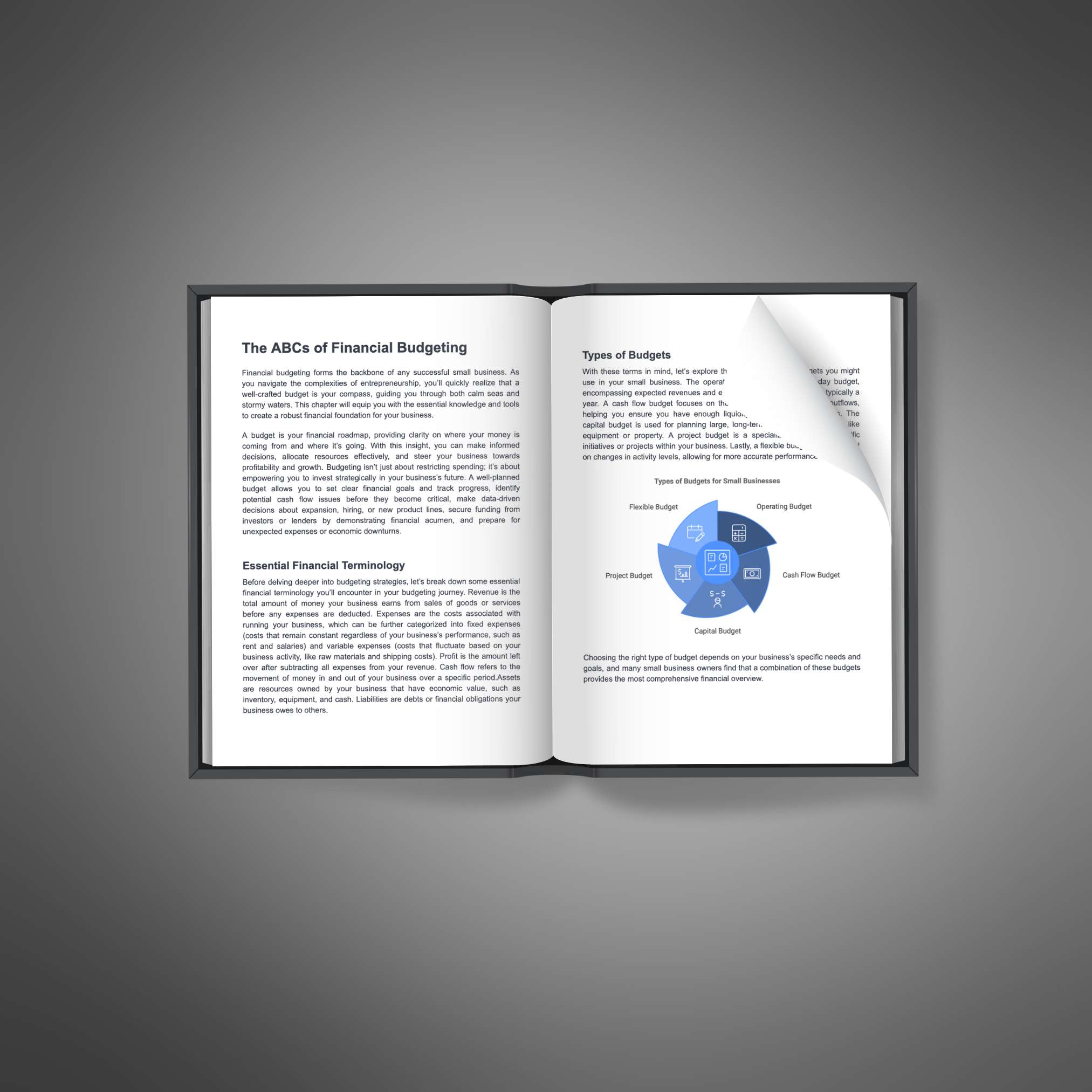 Small Business Budgeting eBook