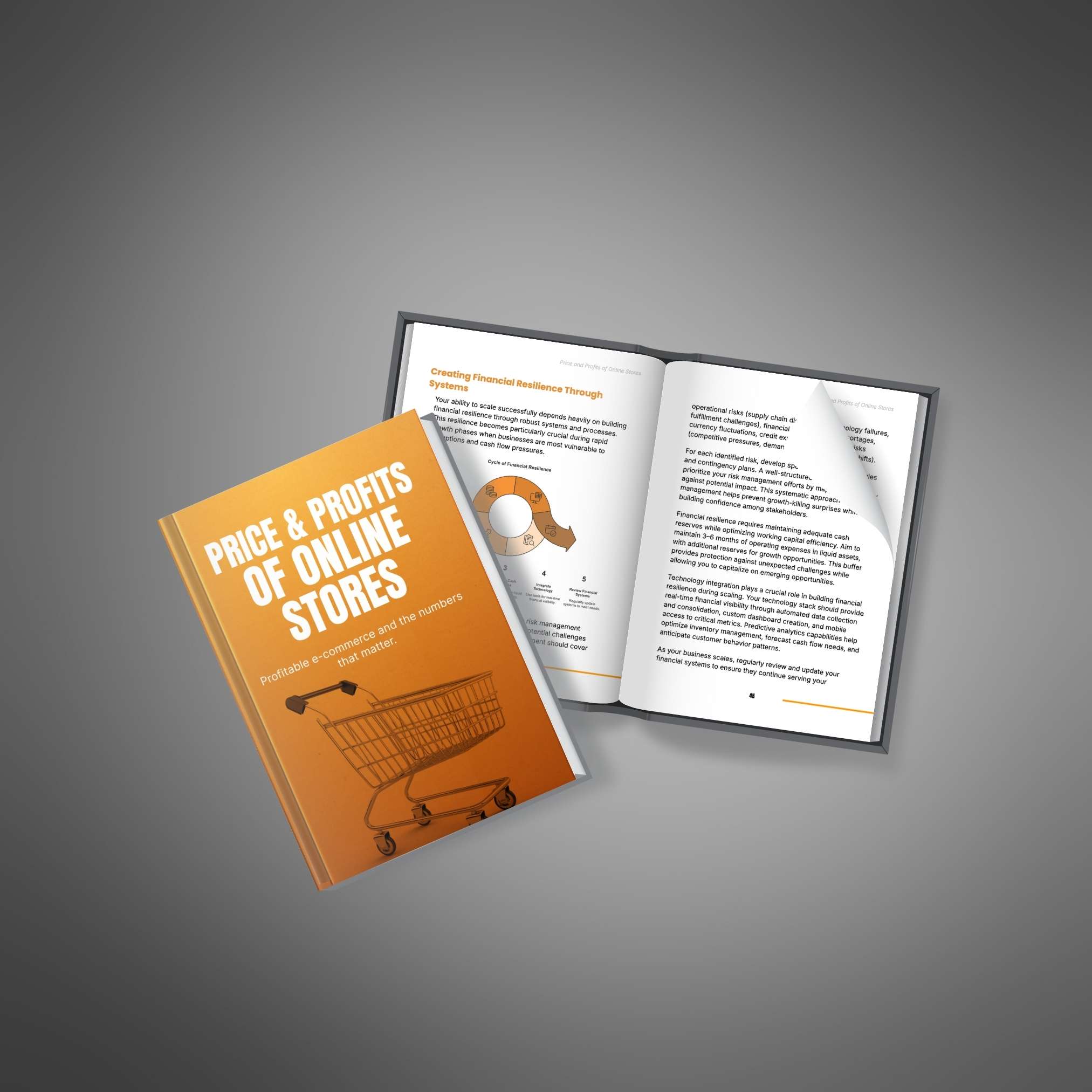 Price and Profits of Online Stores eBook