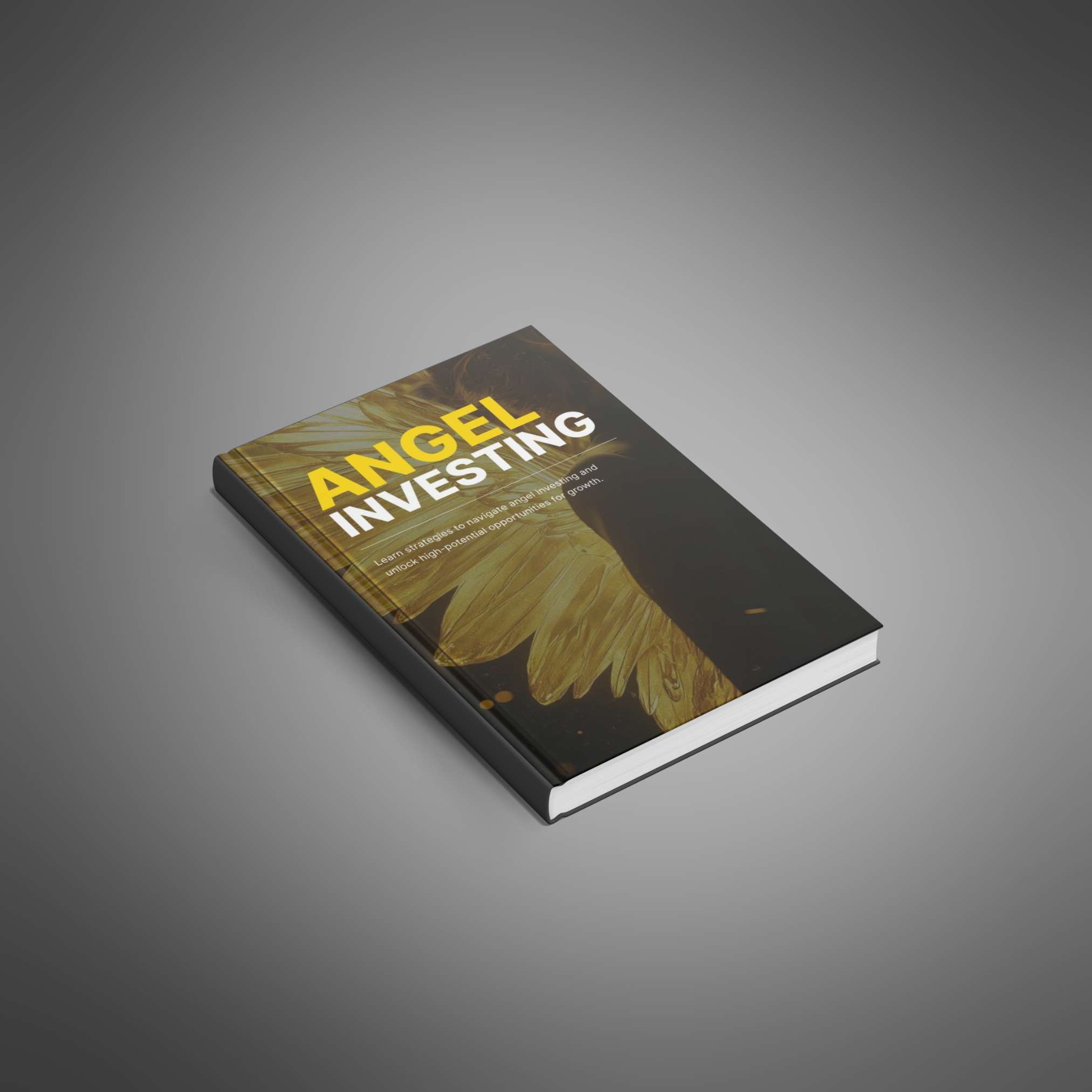 Angel Investing eBook