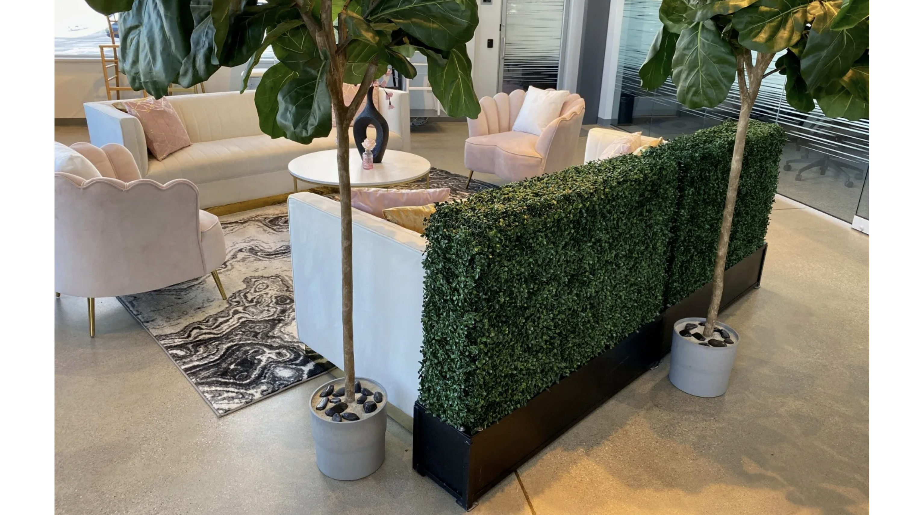 Boxwood Hedge 3'H with Planter