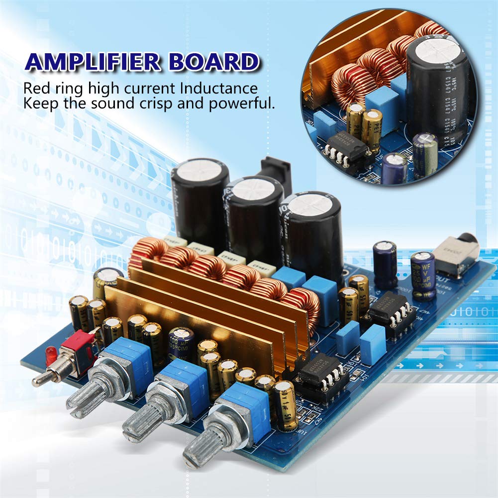 Digital Amplifier Module 100W