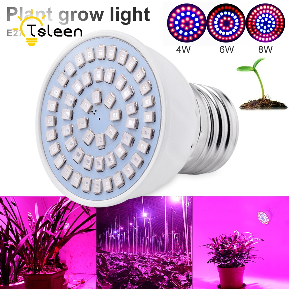 Indoor LAMP for flowering